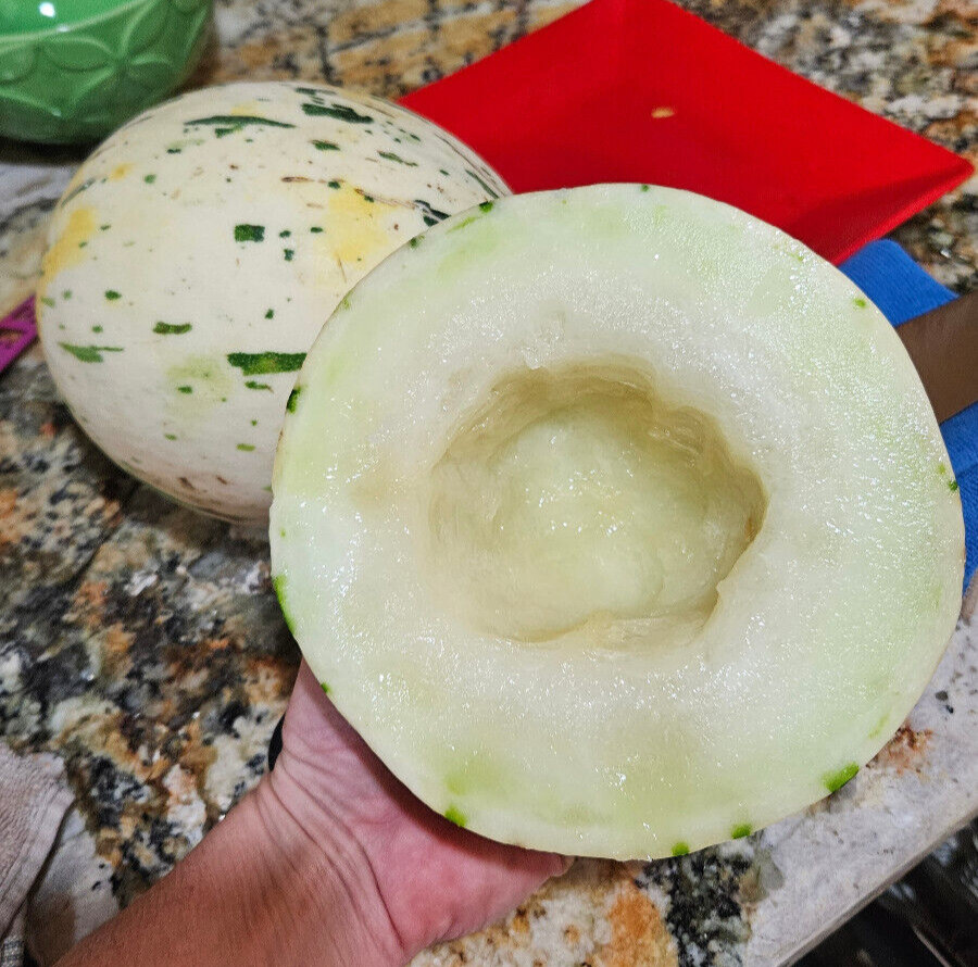 DYNO MELON Seeds (25) / DINOSAUR EGG MELON / HONDURAS / SUPER RARE FRUIT
