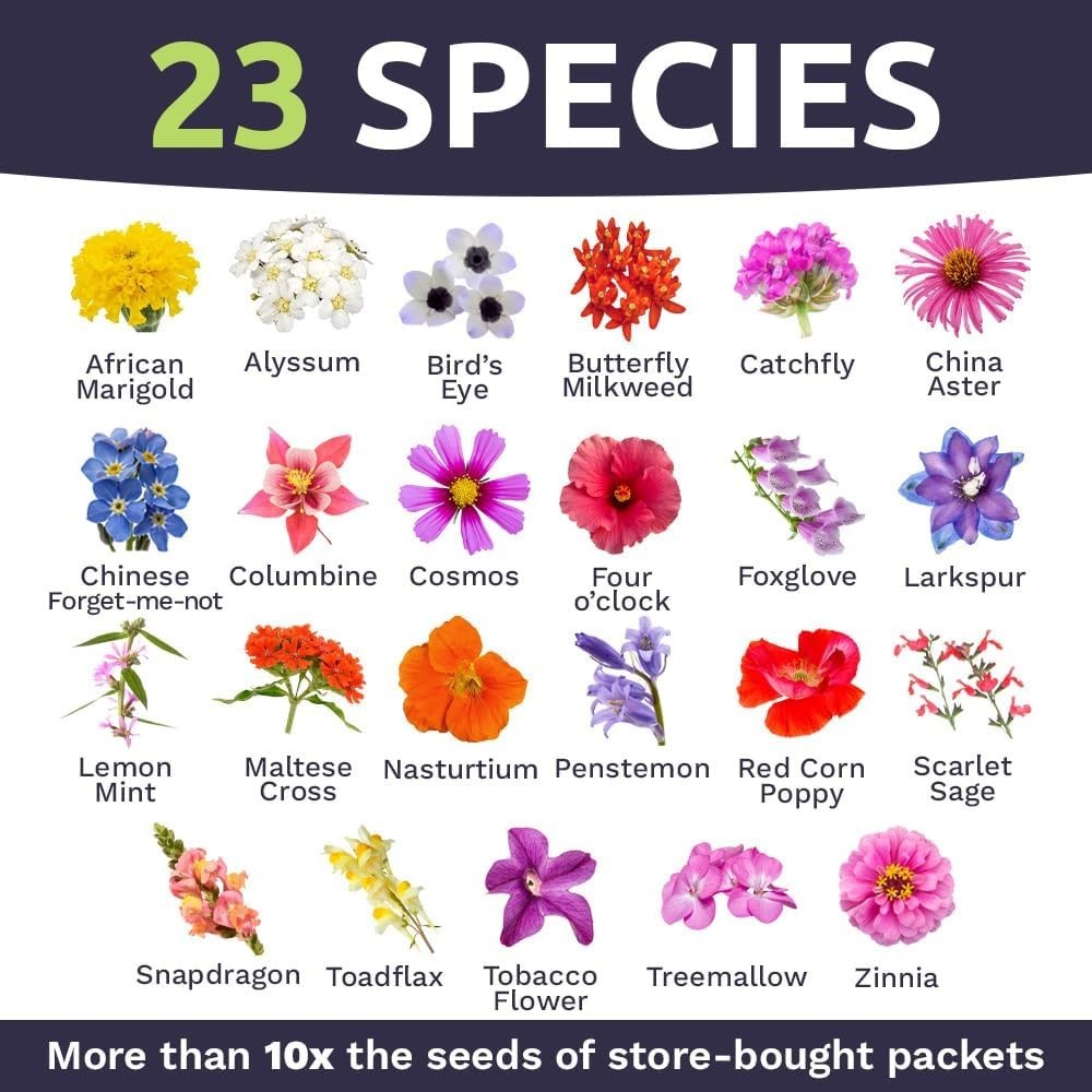 Gardening Delight: 1 oz Wildflower Mix to Attract Butterflies & Hummingbirds