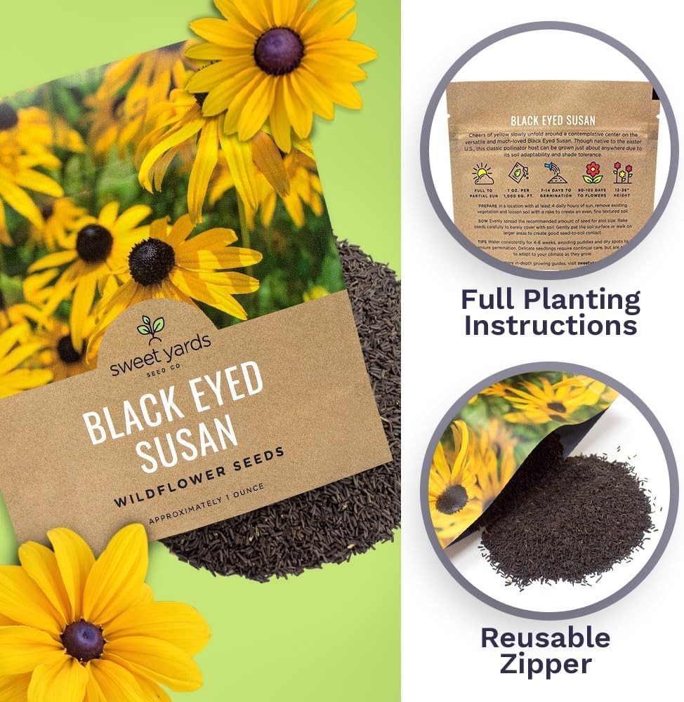 1 Oz Black Eyed Susan Seeds – Vibrant Yellow Wildflowers for Butterfly Gardens