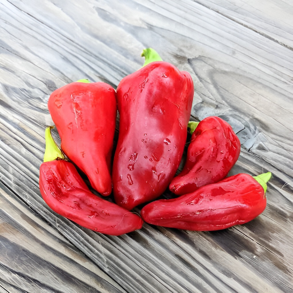 100ct Heirloom Cubanelle Pepper Seeds -Ultimate Stuffing Pepper! Sweet! No Heat!