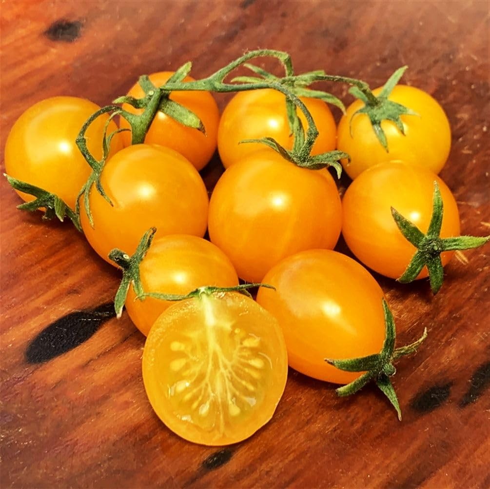 100 pcs Patio Dwarf Yellow Cherry Tomato Seeds Heirloom, NonGMO, Super Sweet…