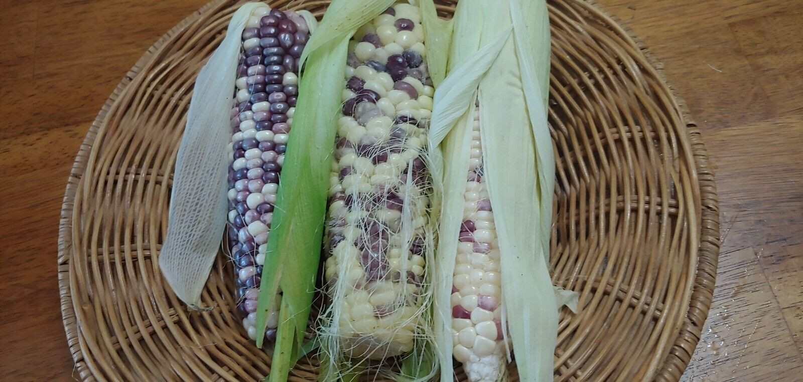 22 Purple & White Sticky Waxy Corn Glutinous Organic Corn Seeds NON GMO