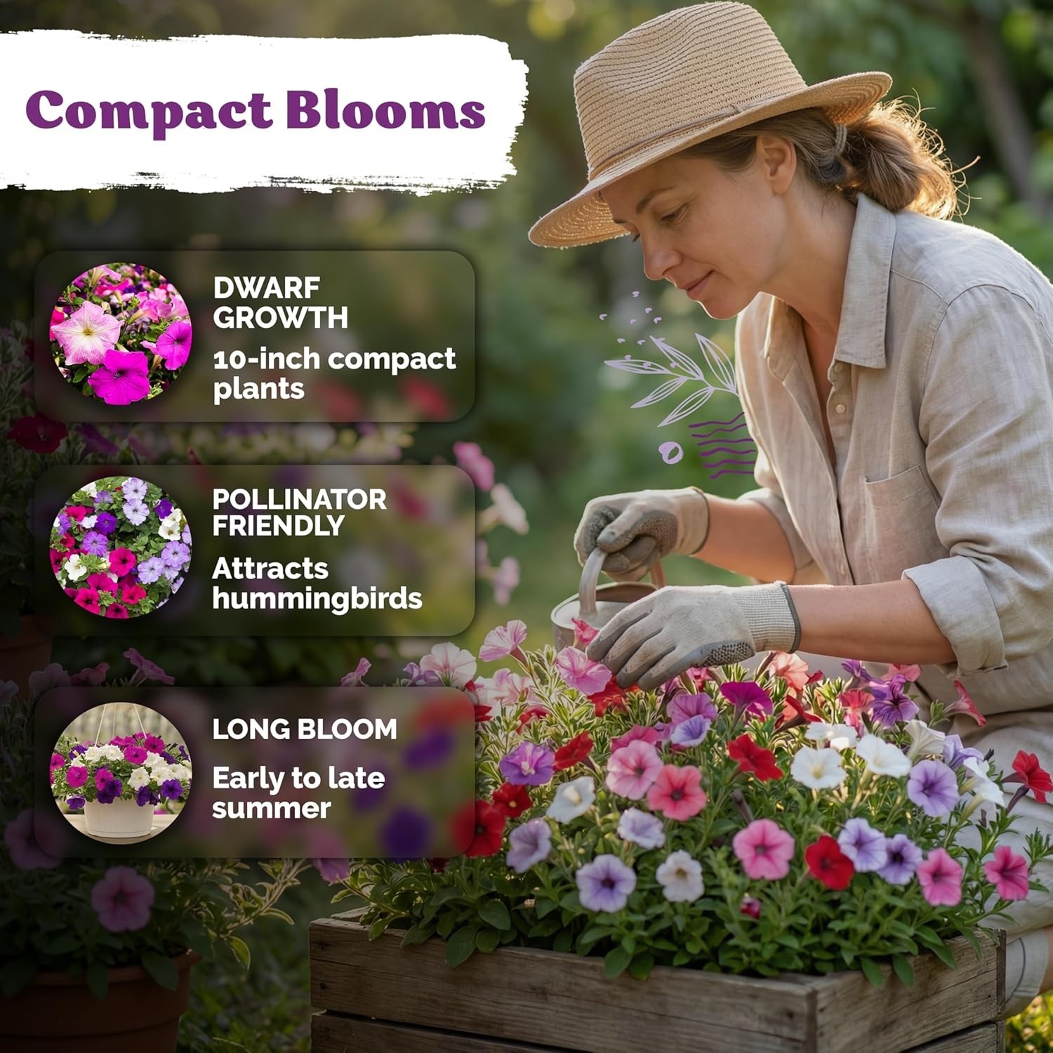 2000 Mixed Dwarf Petunia Seeds for Vibrant, Long-Lasting Blooms