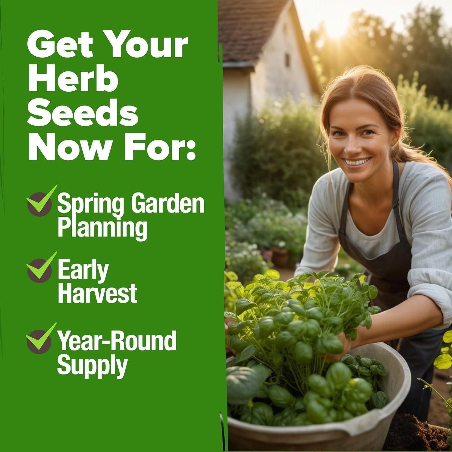 Heirloom Herb Seeds Variety Pack: 5,100+ Seeds for Indoor & Outdoor Gardening