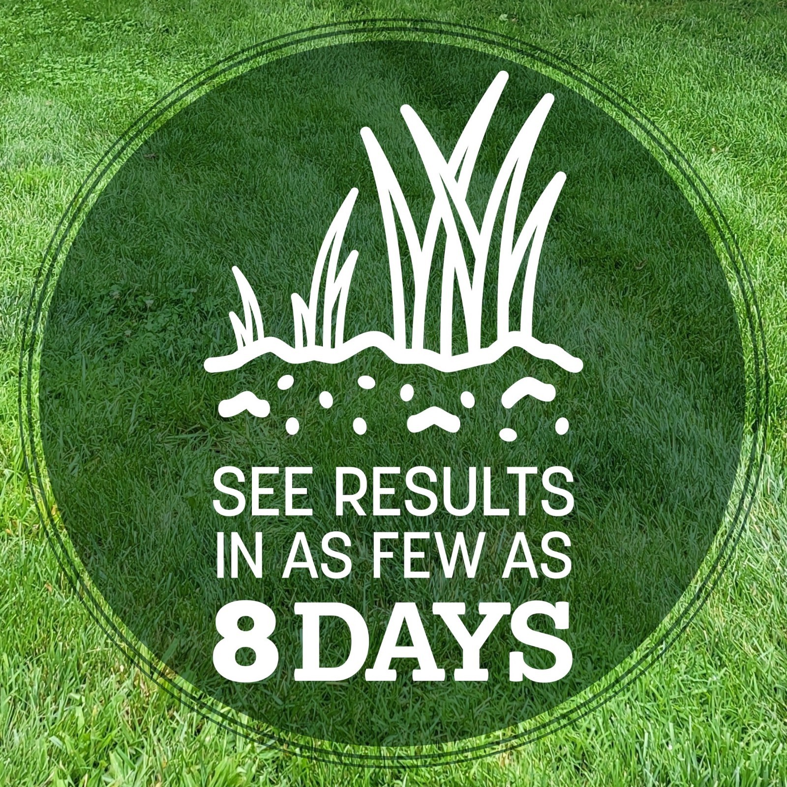 Pennington Kentucky 31 Tall Fescue Grass Seed Sun to Partial Shade 7- 20 lb Bag