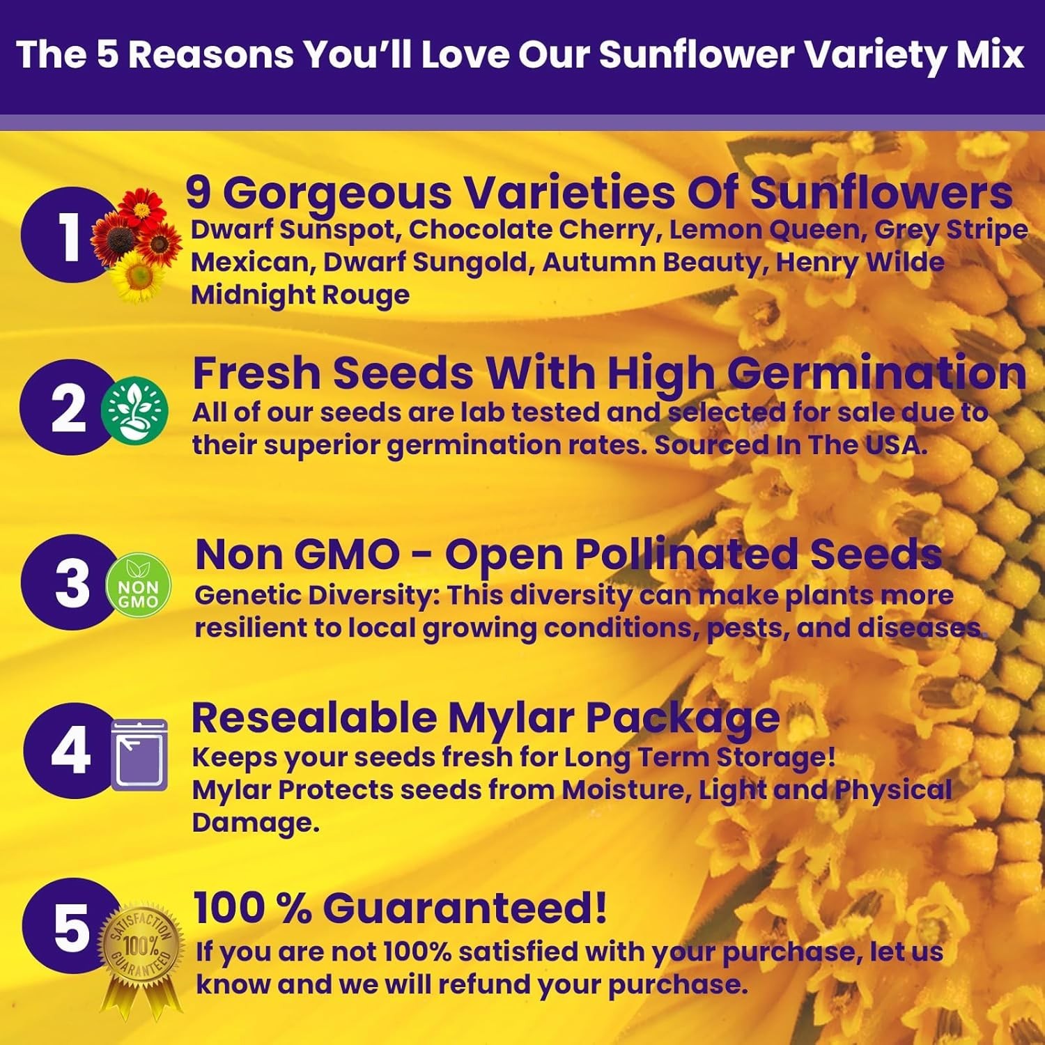 Family-Owned Sunflower Seeds Bulk Pack – Diverse Varieties