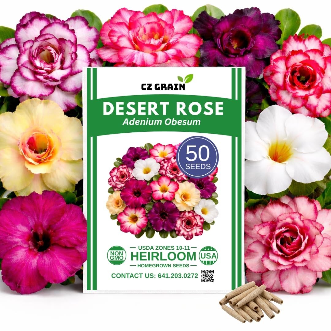 50 Adenium Obesum Seeds – Exotic Desert Rose for Indoor Bonsai & Outdoor Patio –