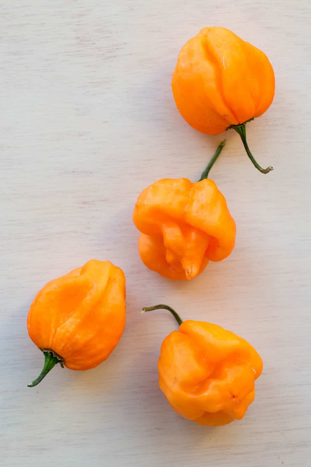 30+ ORANGE SCOTCH BONNET PEPPER SEEDS NON-GMO FRESH FOR YOUR GARDEN