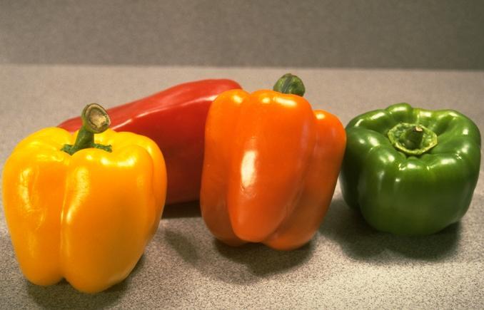 BULK * 300 SEEDS * SWEETEST RED,YELLOW,GREEN,ORANGE BELL PEPPER SEEDS