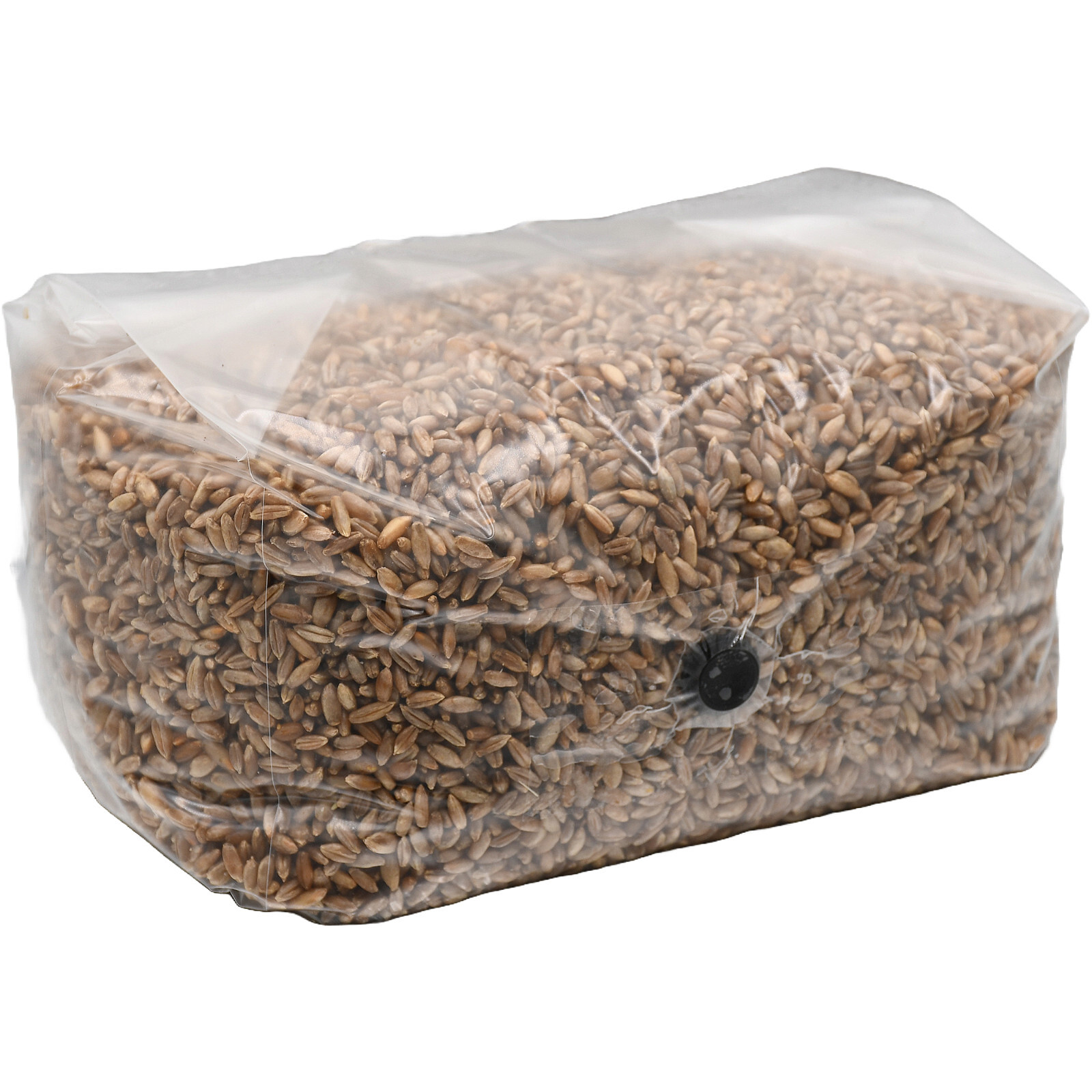 Sterilized Rye Berry Grow Bag (25lbs)