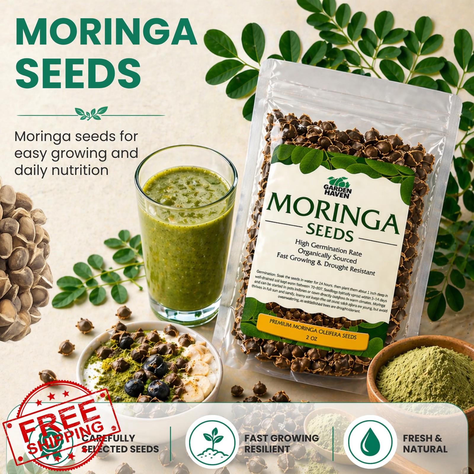 Garden Haven Moringa Seeds 2 oz 1 Pack