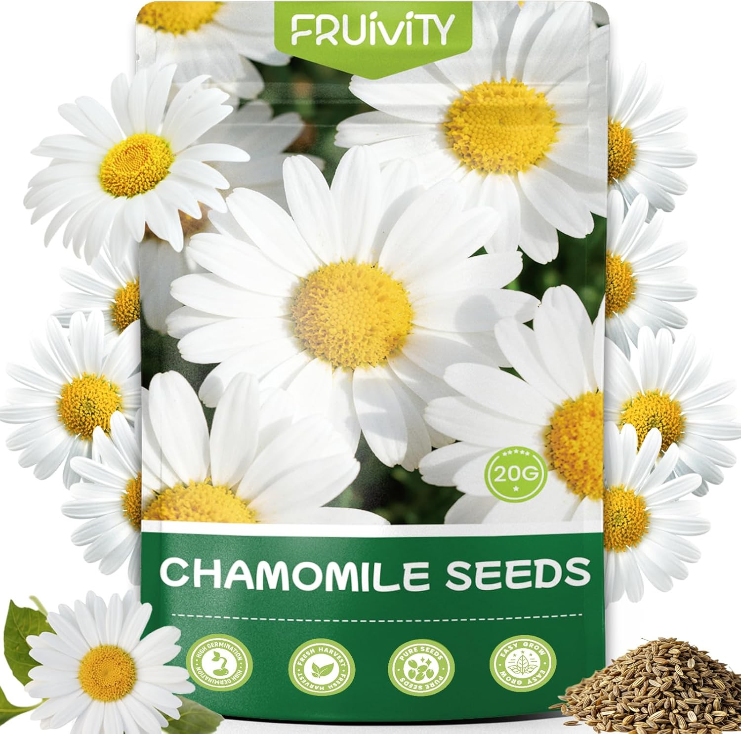 2300+ German Chamomile Seed Pack, Perennial Seeds for Planting, Herb Seed to Pla