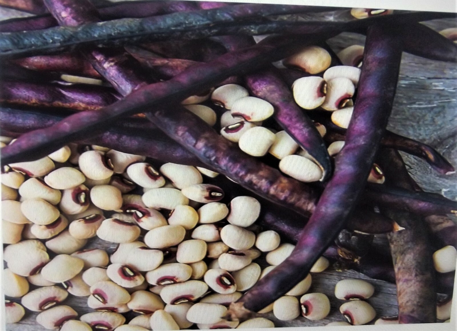 1 lb Top Pick Pinkeye Purple Hull Peas Cow Pea Germ: 80% Benefits St. Jude