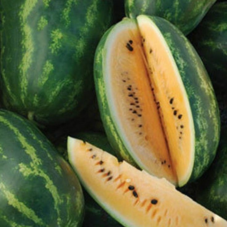 Tendersweet Orange Watermelon Seeds 30 Ct USA Fruit 15-30 lbs USA FREE SHIPPING