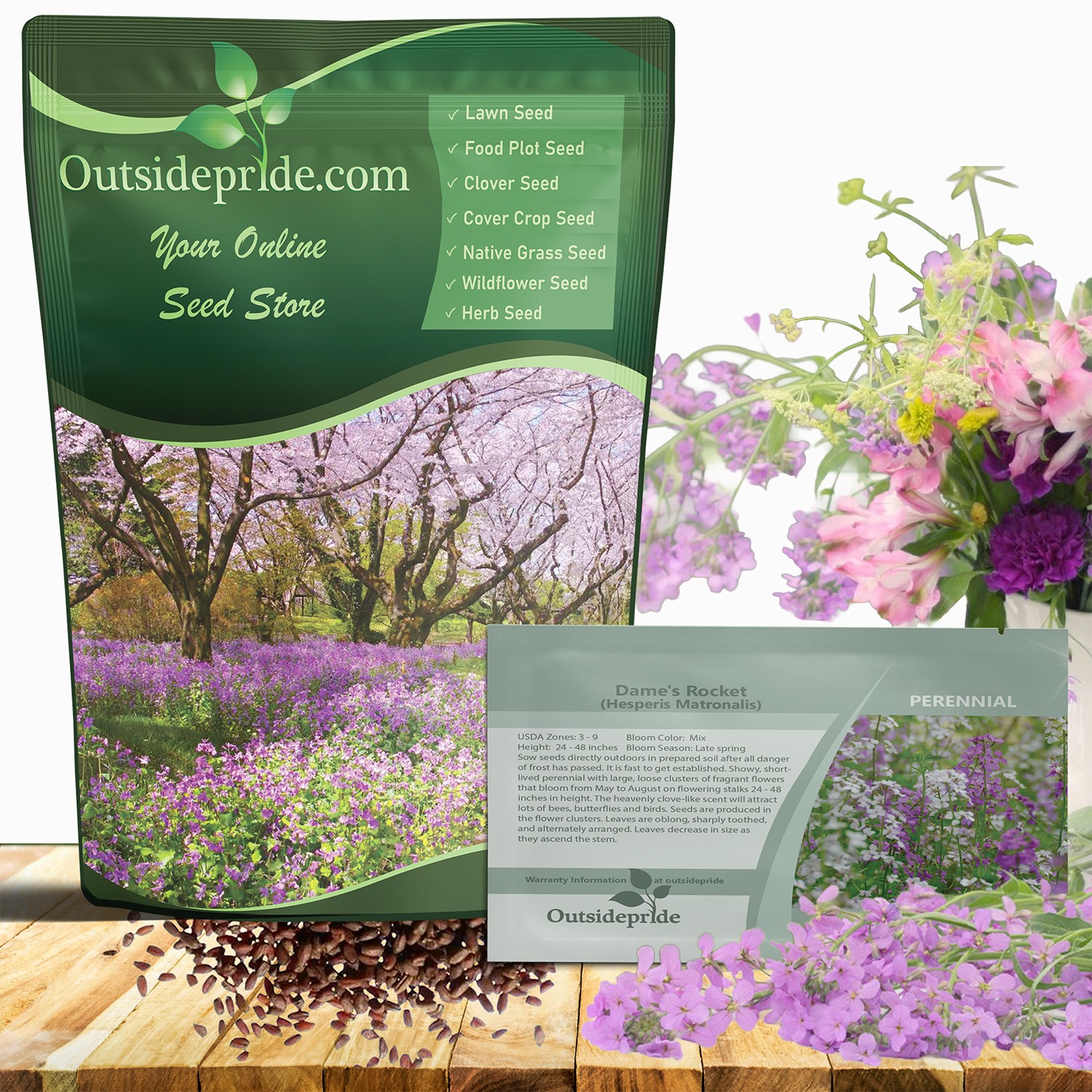1 LB Dame’s Rocket Seeds – Hesperis Matronalis Wildflower Seed