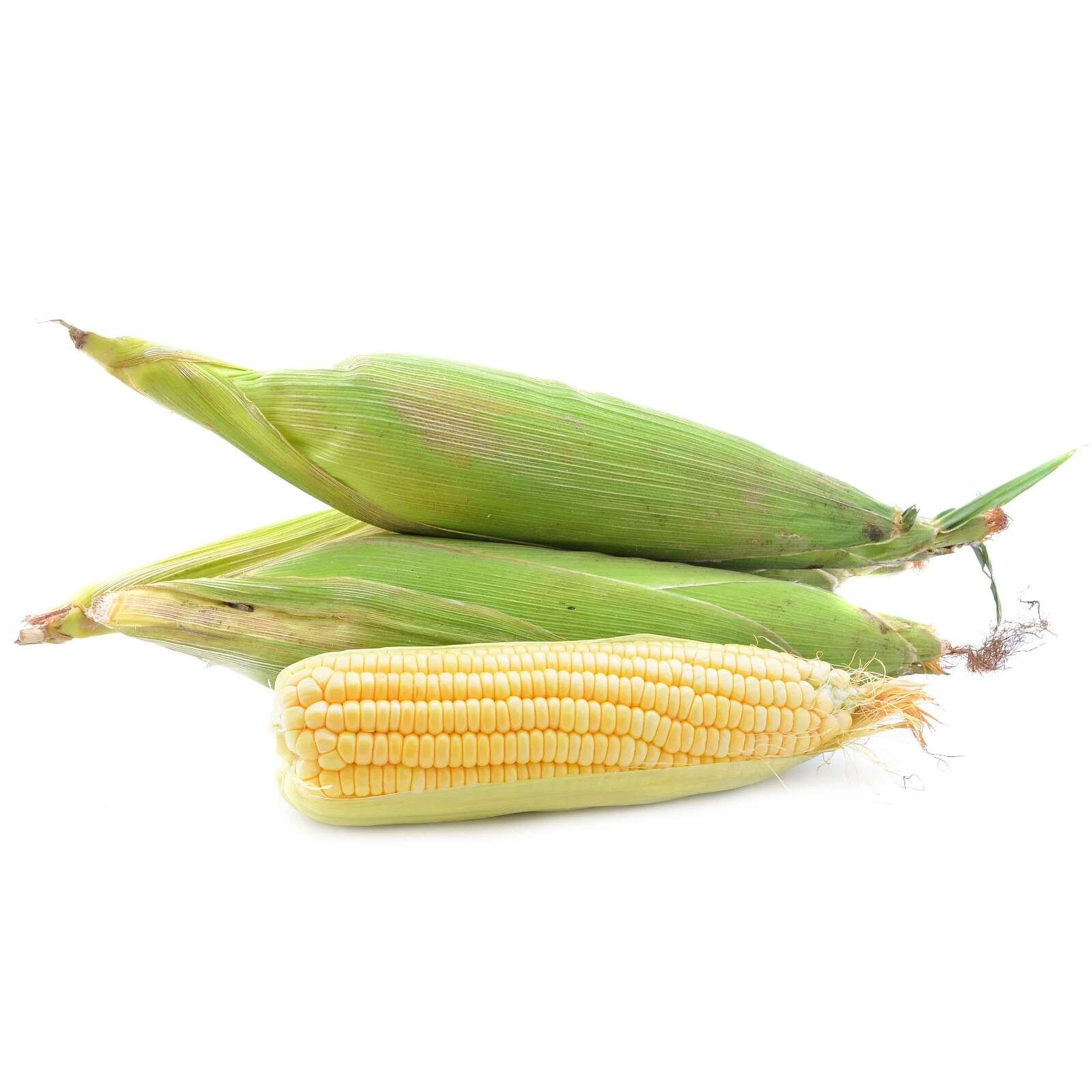 75-80 Golden Bantam Corn Seeds Non-GMO Heirloom Fresh Garden Seeds
