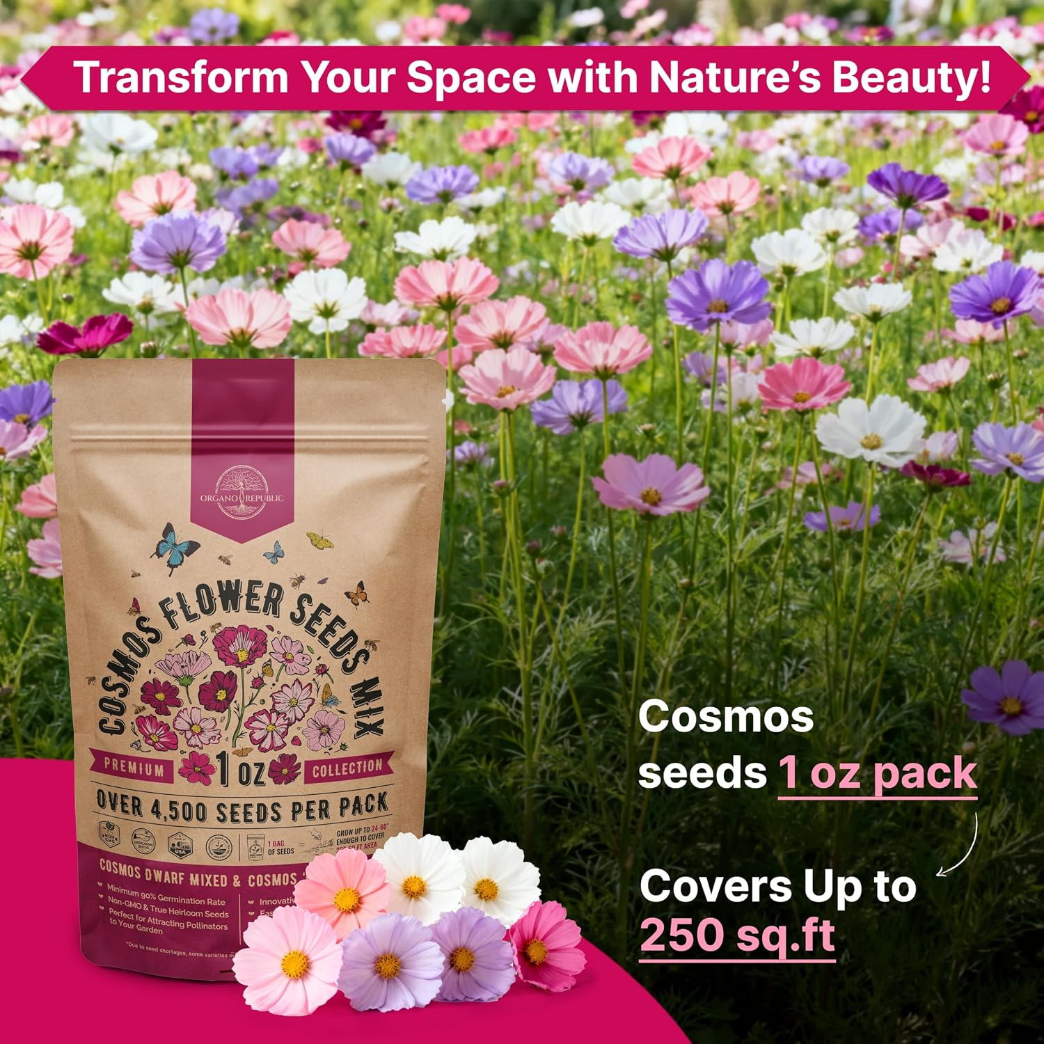 Cosmos Flower Seeds Pack 1 Oz – 4,500 Non-Gmo Heirloom Annual Seeds for Planting