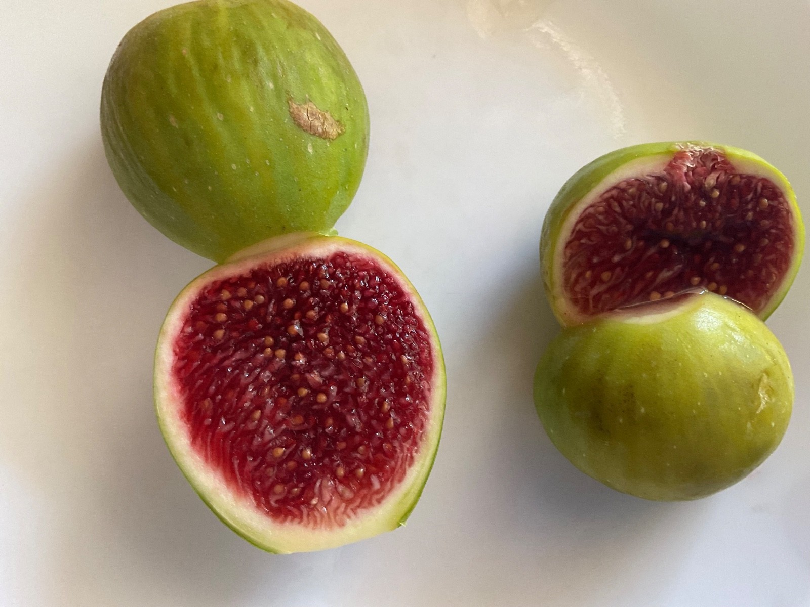 Strawberry Verte Fresh Fig Tree Cuttings (3 cuttings)