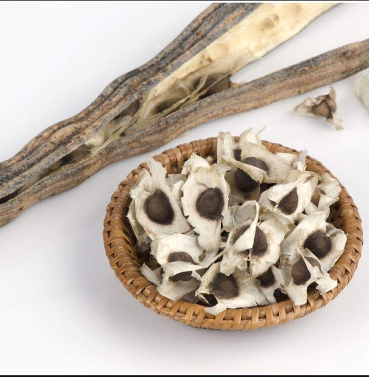 Moringa Oleifera Seeds Organic for planting Non GMO