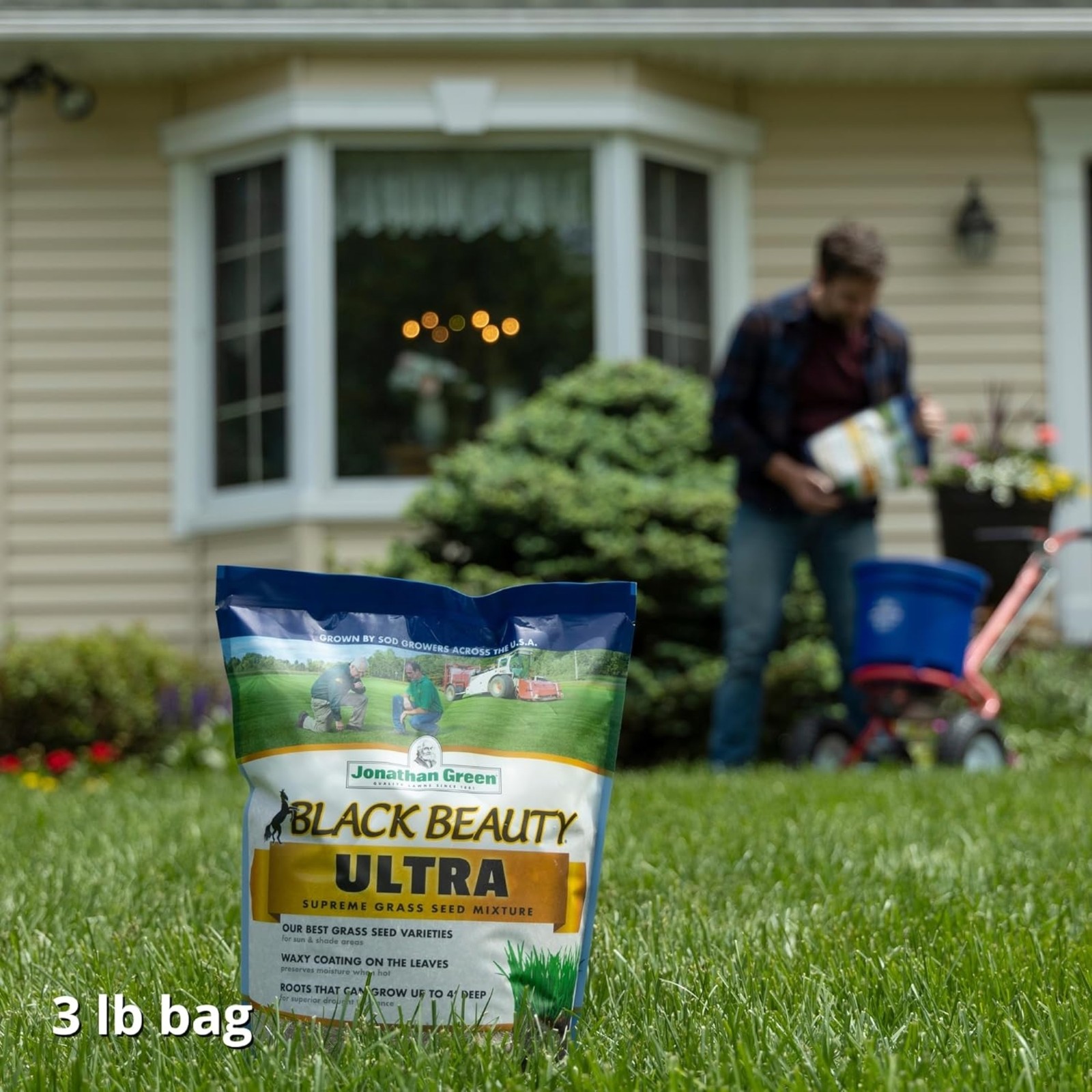 Jonathan Green Black Beauty Ultra Grass Seed, 3 Lb