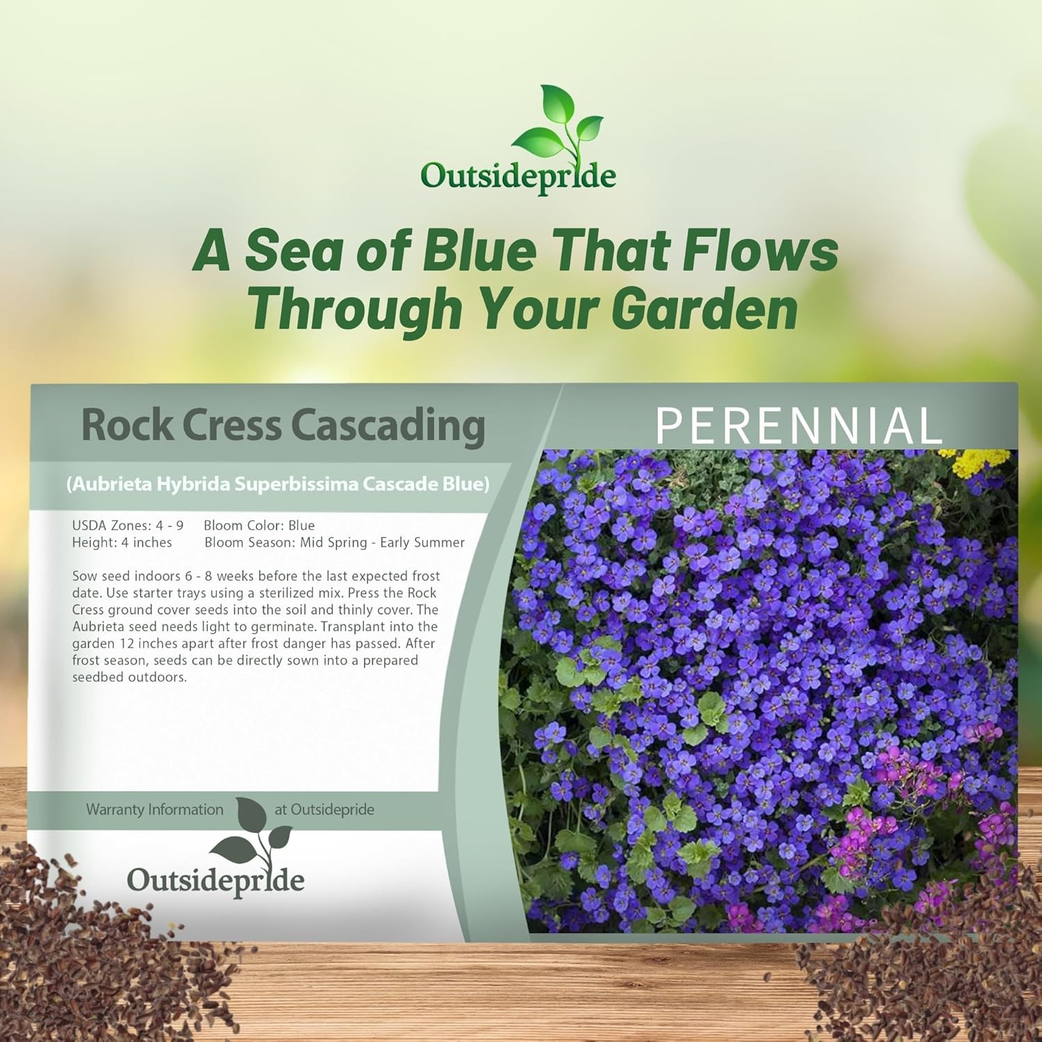 2000 Seeds Cascading Blue Rock Cress Seeds – Aubrieta Seeds Hybrida Ground
