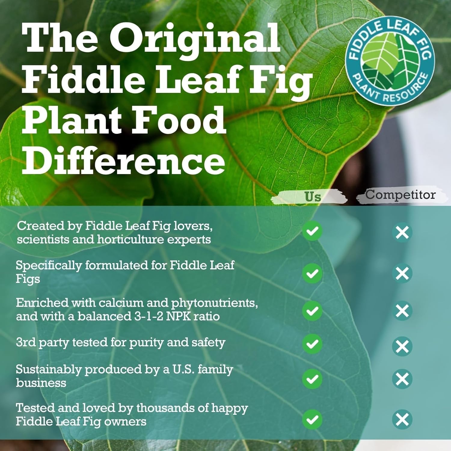 3-1-2 NPK Liquid Fertilizer for Vibrant Fiddle Leaf Figs – 8 oz Care Solution