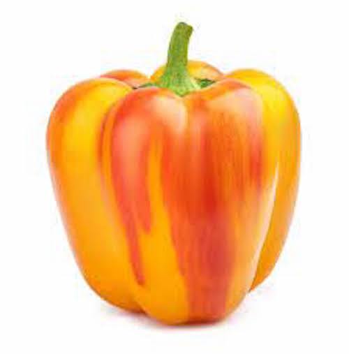 10 Sunset Aloha Red Yellow Bell Pepper Seeds, 2024 Season, Organic NON – GMO