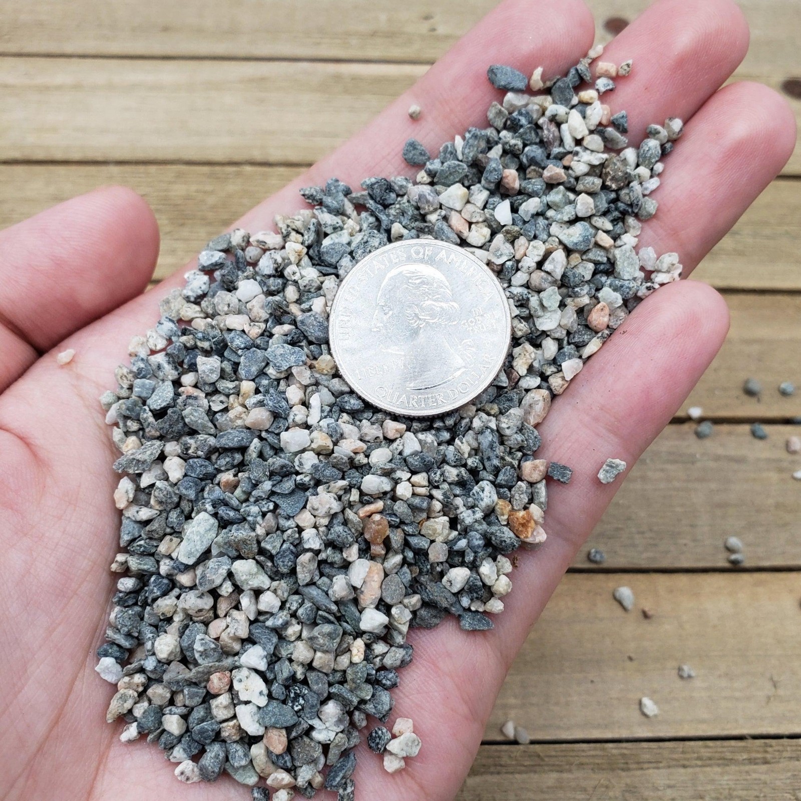 1lb #10 Grid Top Soil Dressing Pebbles for seed germination