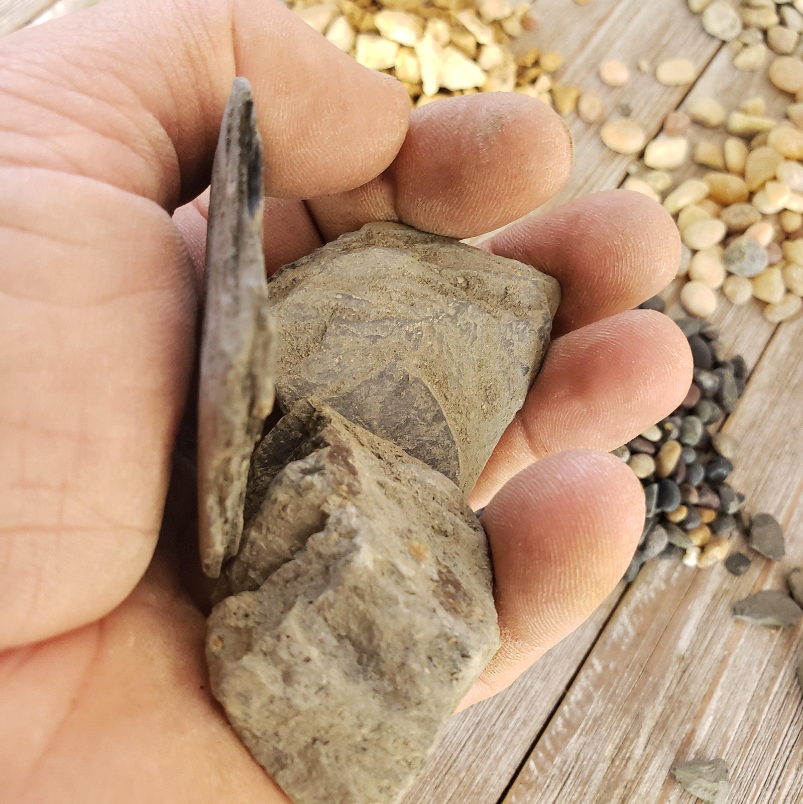 1 Lb Mini Slab River Rock Cactus and Succulent Top Soil Dressing cactus Cacti Su