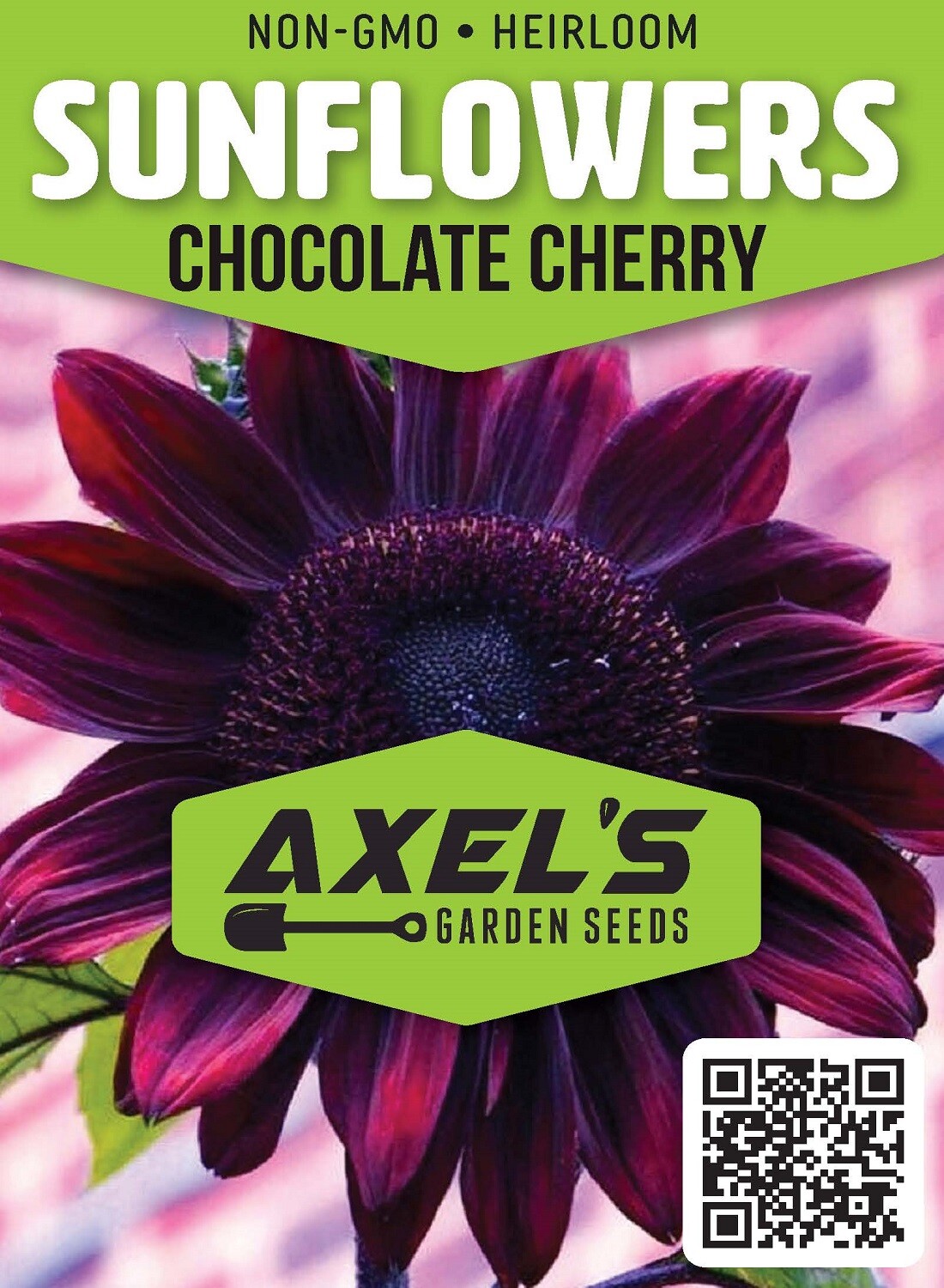 Bulk Sunflower Seeds Mix – Heirloom Non-Gmo Flower Seeds for Home Garden