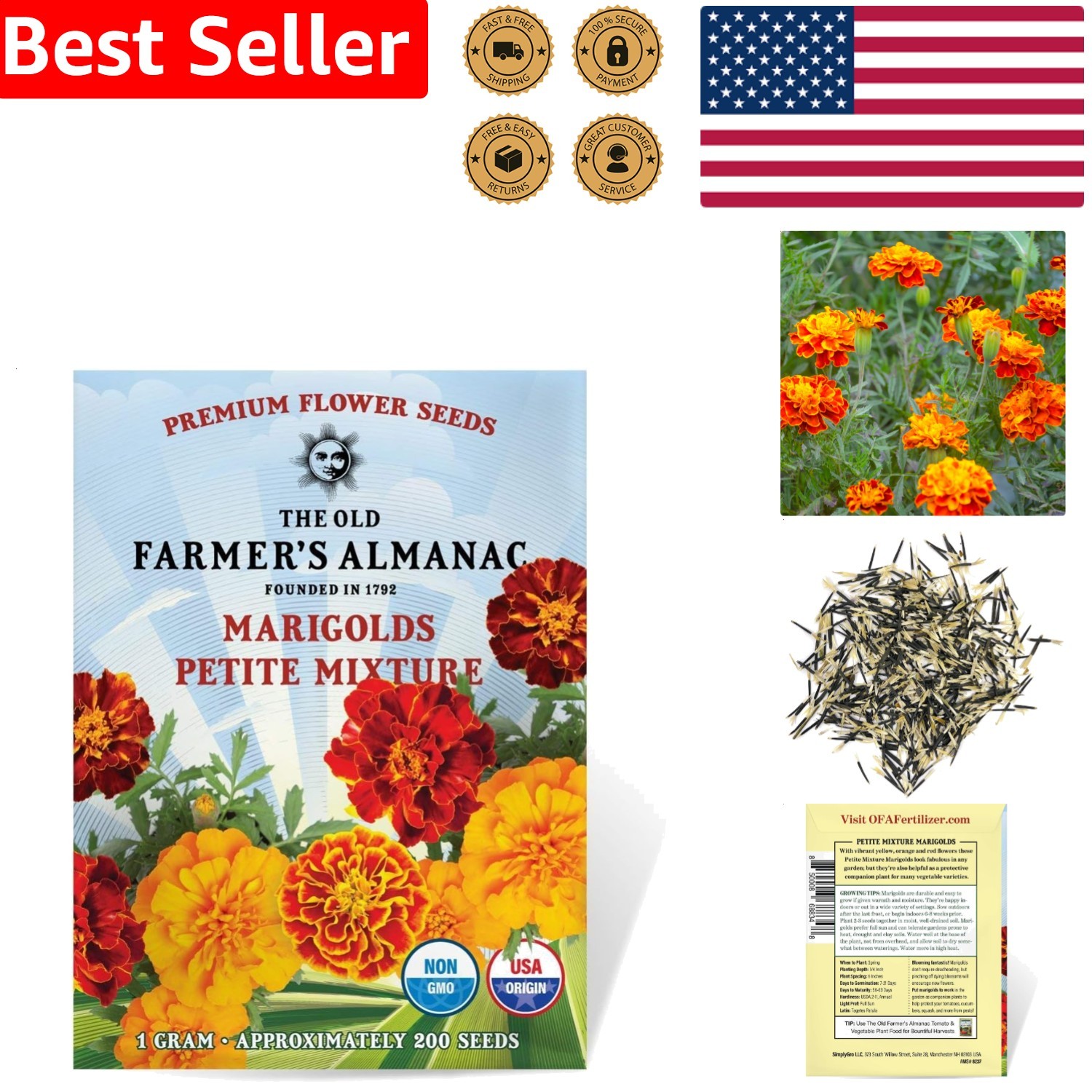 Orange Red Yellow Marigold Seeds – Easy Grow Fragrant Pollinator Attractor