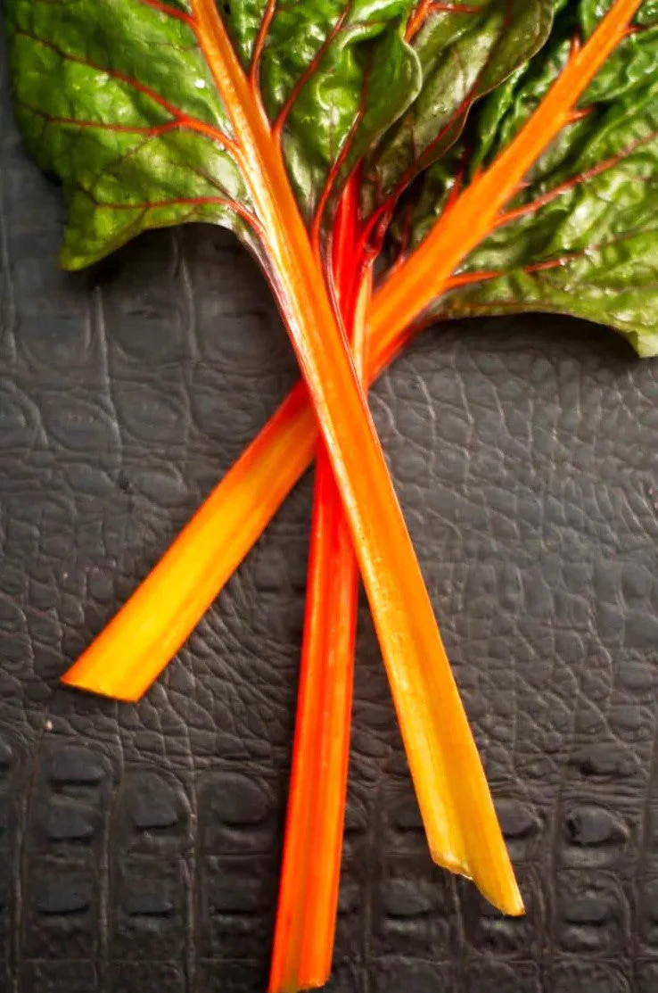 Orange Glory Swiss Chard Seeds – For 2025 Planting Bright Lights Golden Yellow