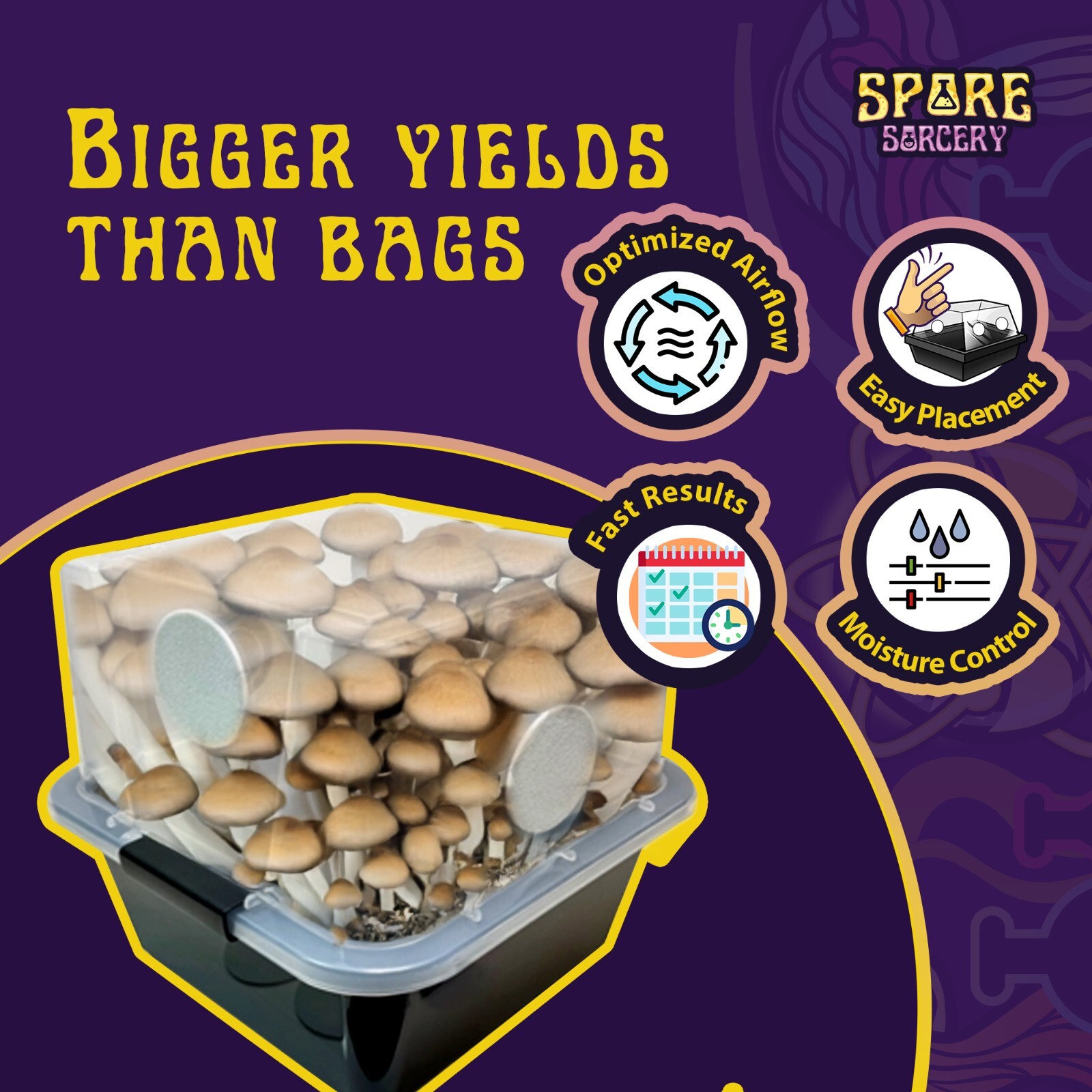 Small Beginners Mushroom Grow Kit | Indoor Grow Kit w/ Bulk Substrate
