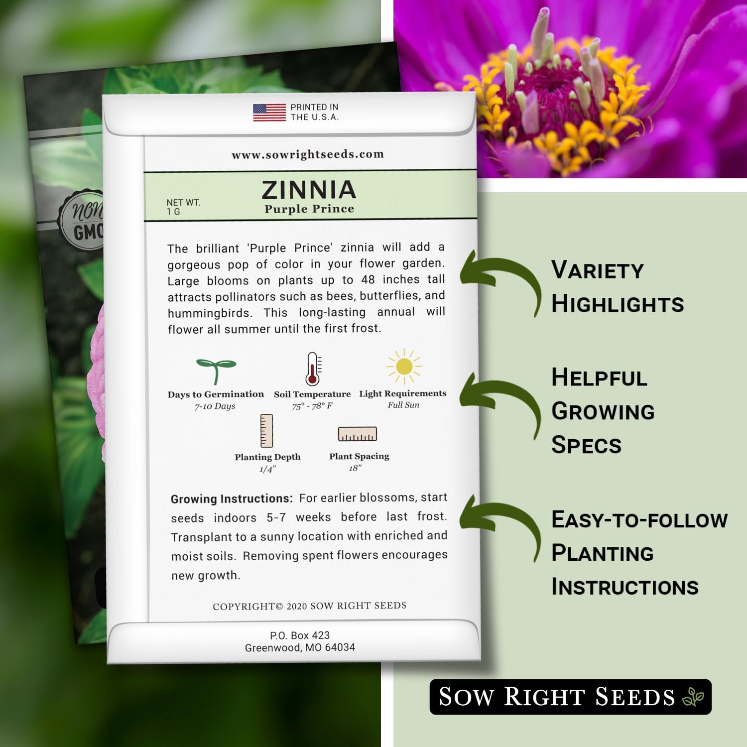 Luminosa Zinnia Seeds NonGMO, Drought Resistant, Easy to Grow, Pink Flowers