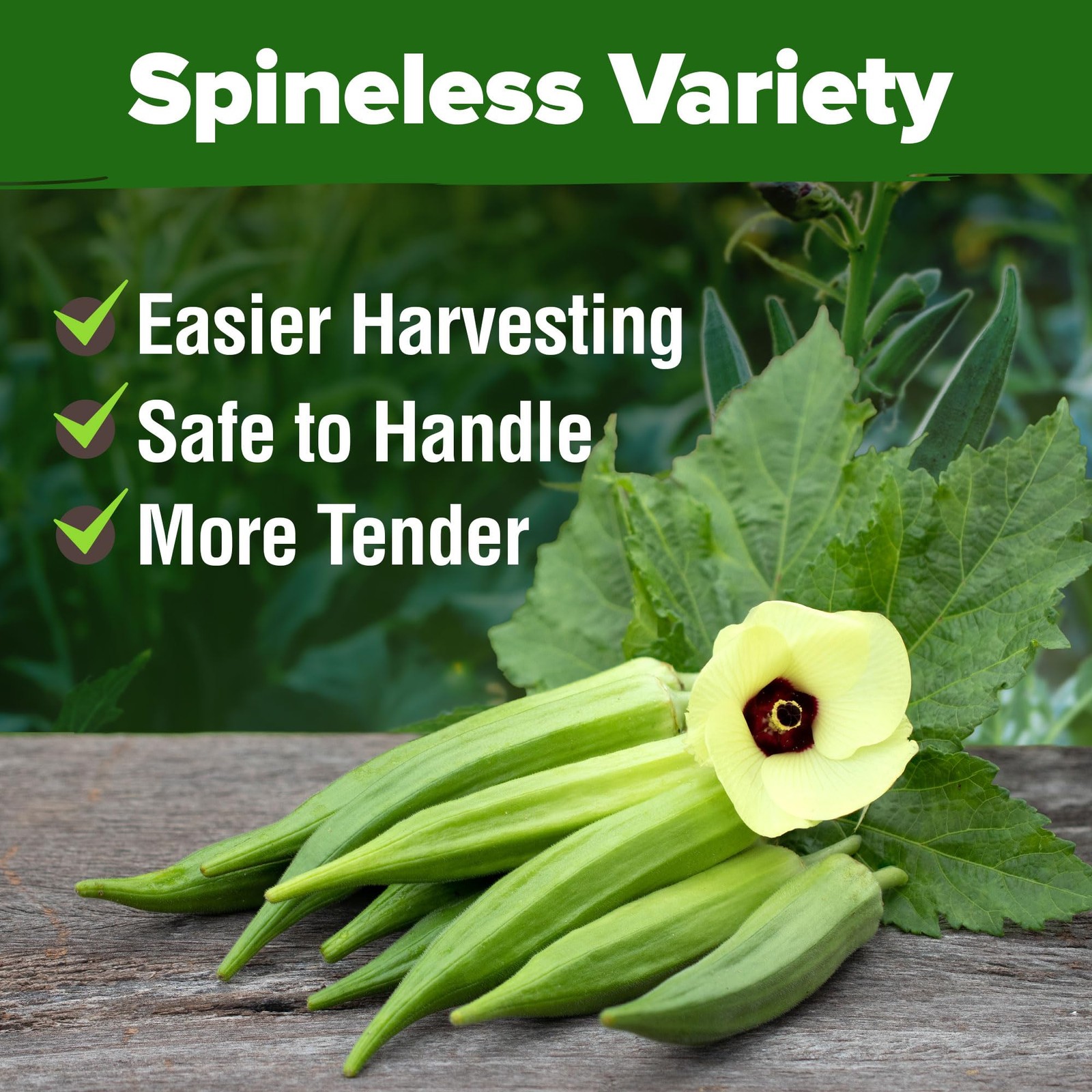 HOME GROWN Clemson Spineless Okra Seeds 1-Pack, Light Tan or Yellowish-Brown
