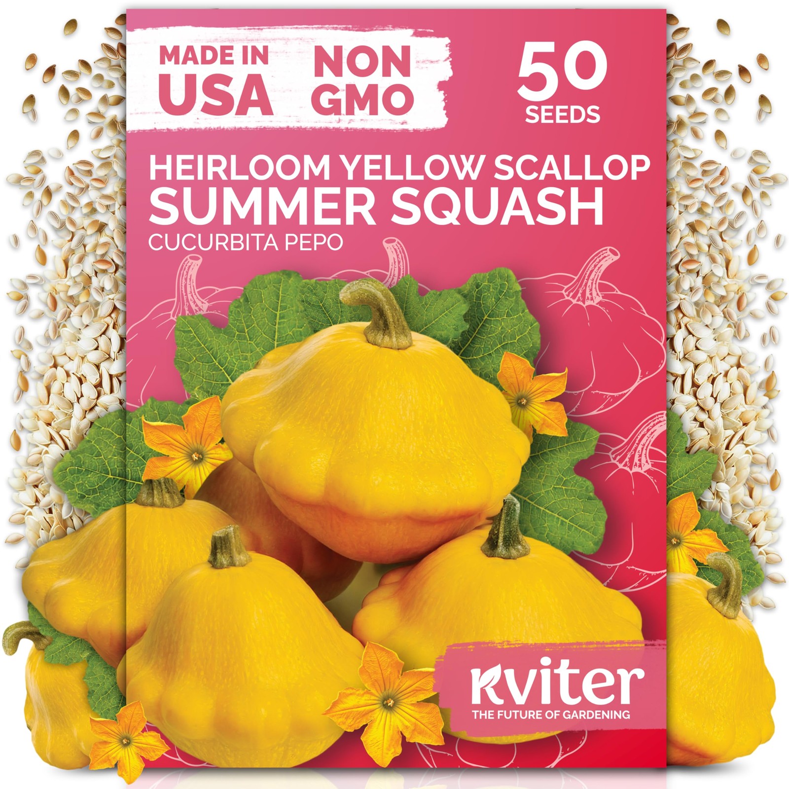 KVITER 50 Patty Pan Yellow Squash Seeds (Cucurbita pepo)