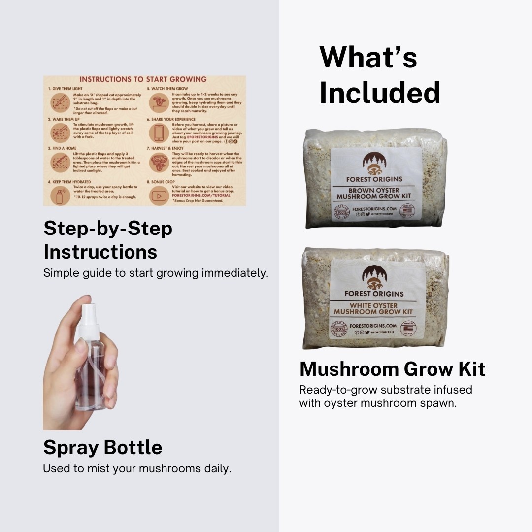 White and Brown Oyster Mushroom Growing Farm- Edible Oyster Mushroom Growing Kit