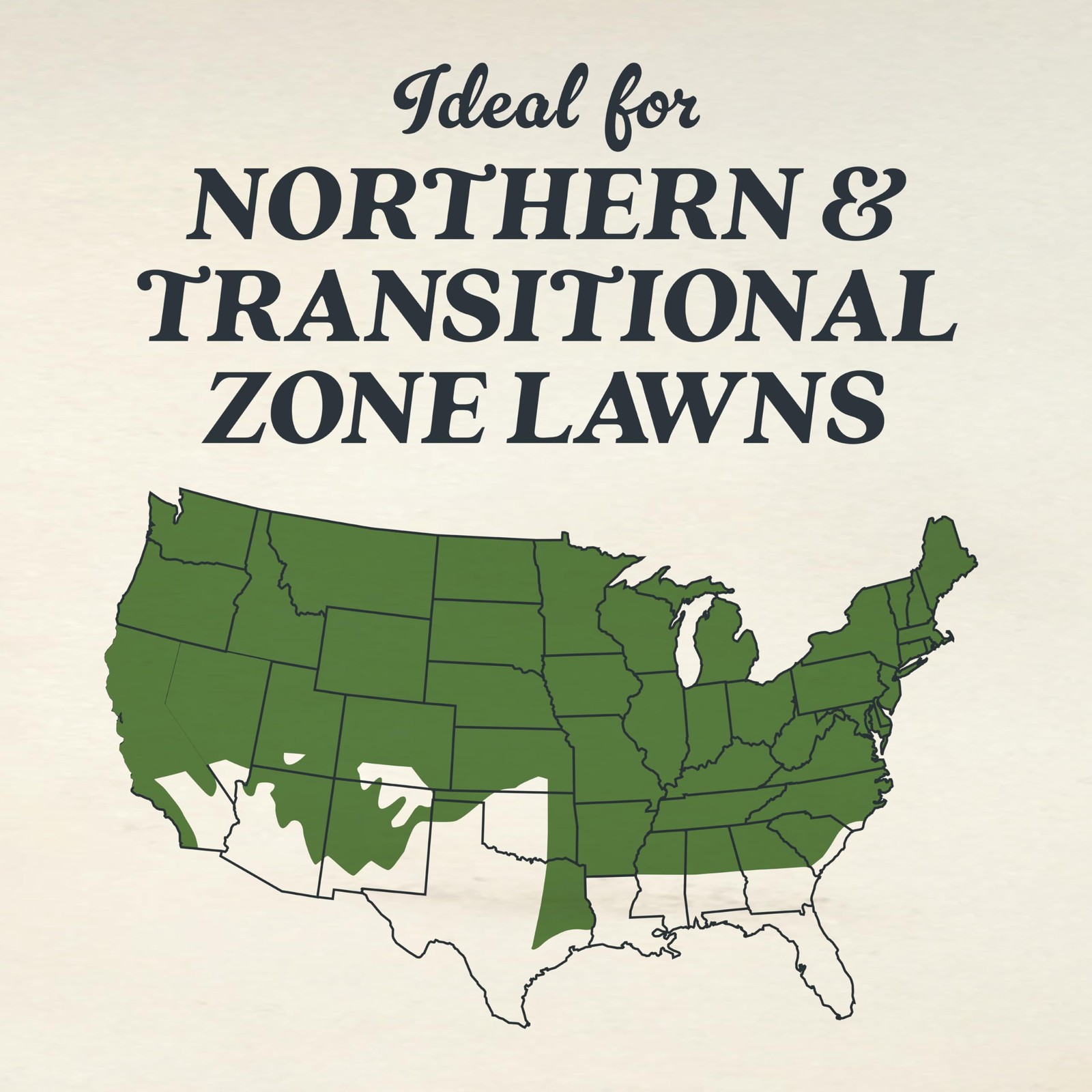 Scotts O.M. Scott And Sons Tall Fescue Blend – And Soil