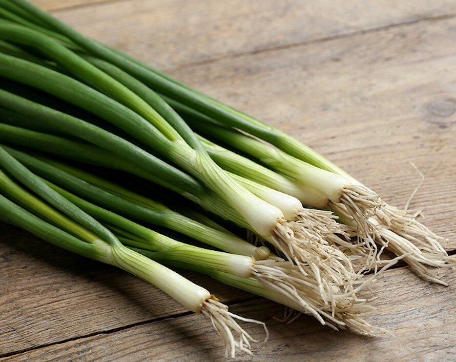 Green Onion Seeds AAS Winner