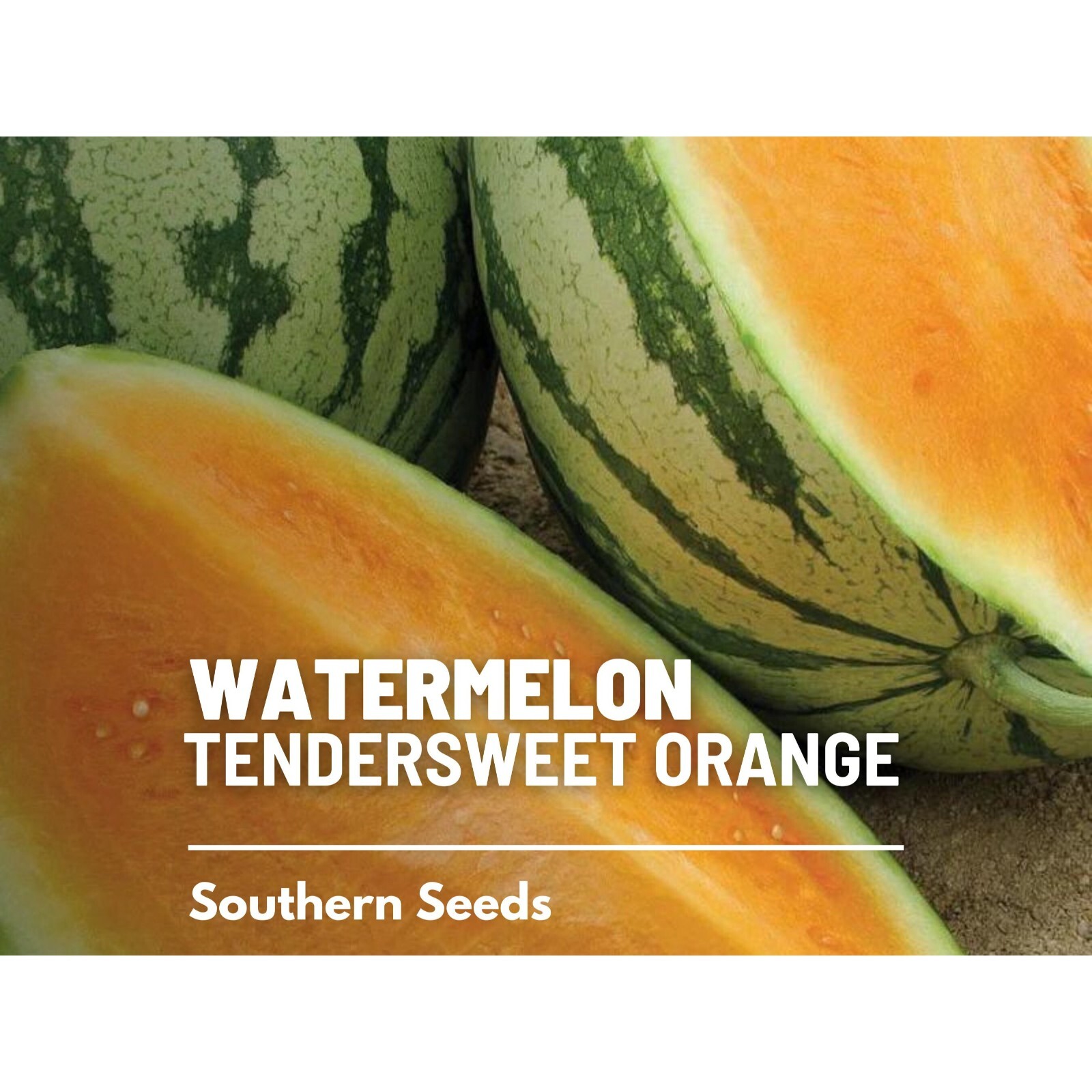 Watermelon, Tendersweet Orange – 25 Seeds, Heirloom Vegetable (Citrullus lanatus