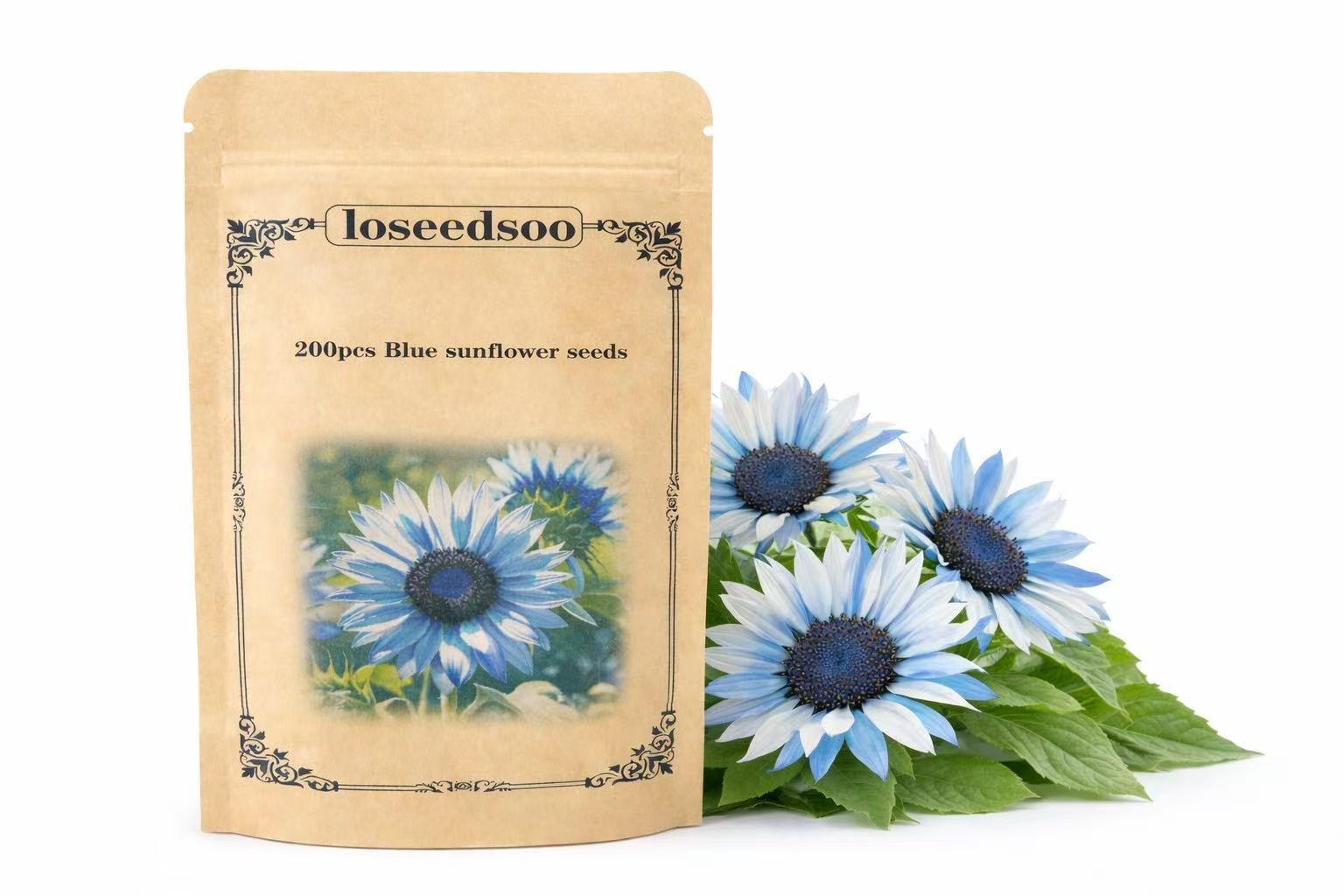 Blue Sunflower Seeds 200+ for Planting – Rare Blue Sunflower Flower Seeds