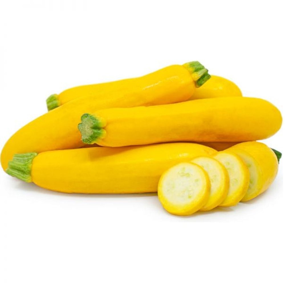 15 ~ Golden Zucchini Summer Squash Heirloom Seed (Cucurbita spp.)