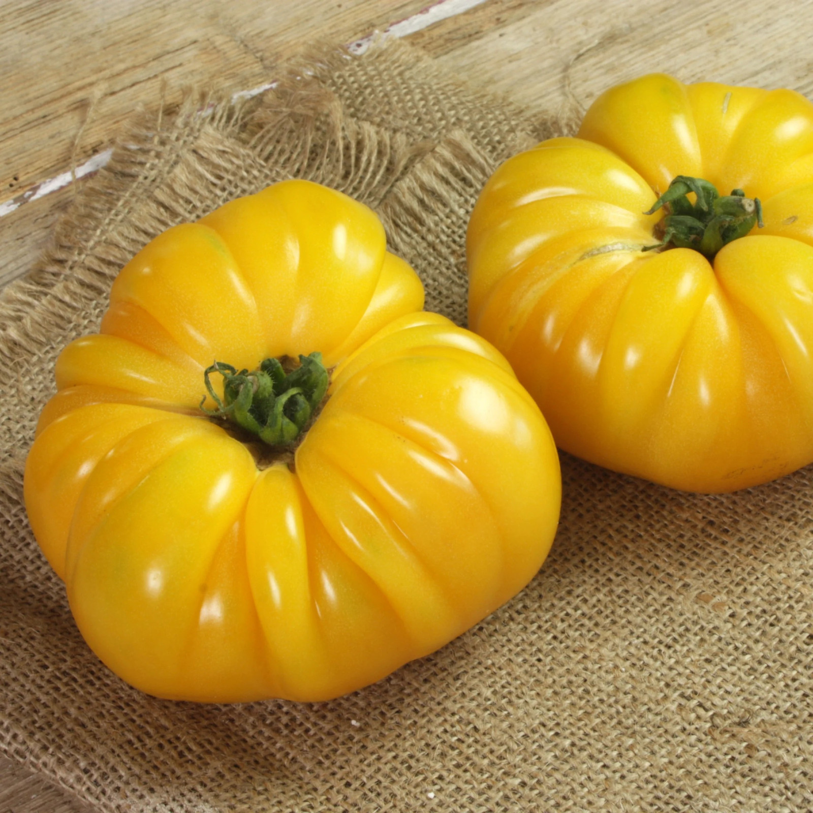 120+ CHEFS CHOICE TOMATO SEEDS — YELLOW — ORGANIC —— FRESH