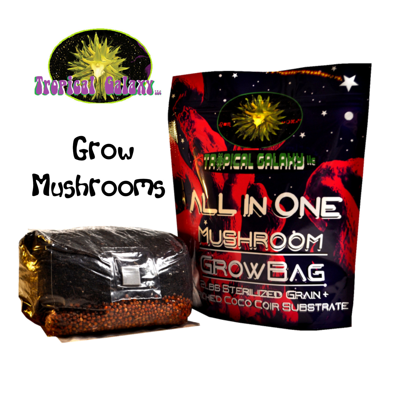 All-in-One Mushroom Grow Bag