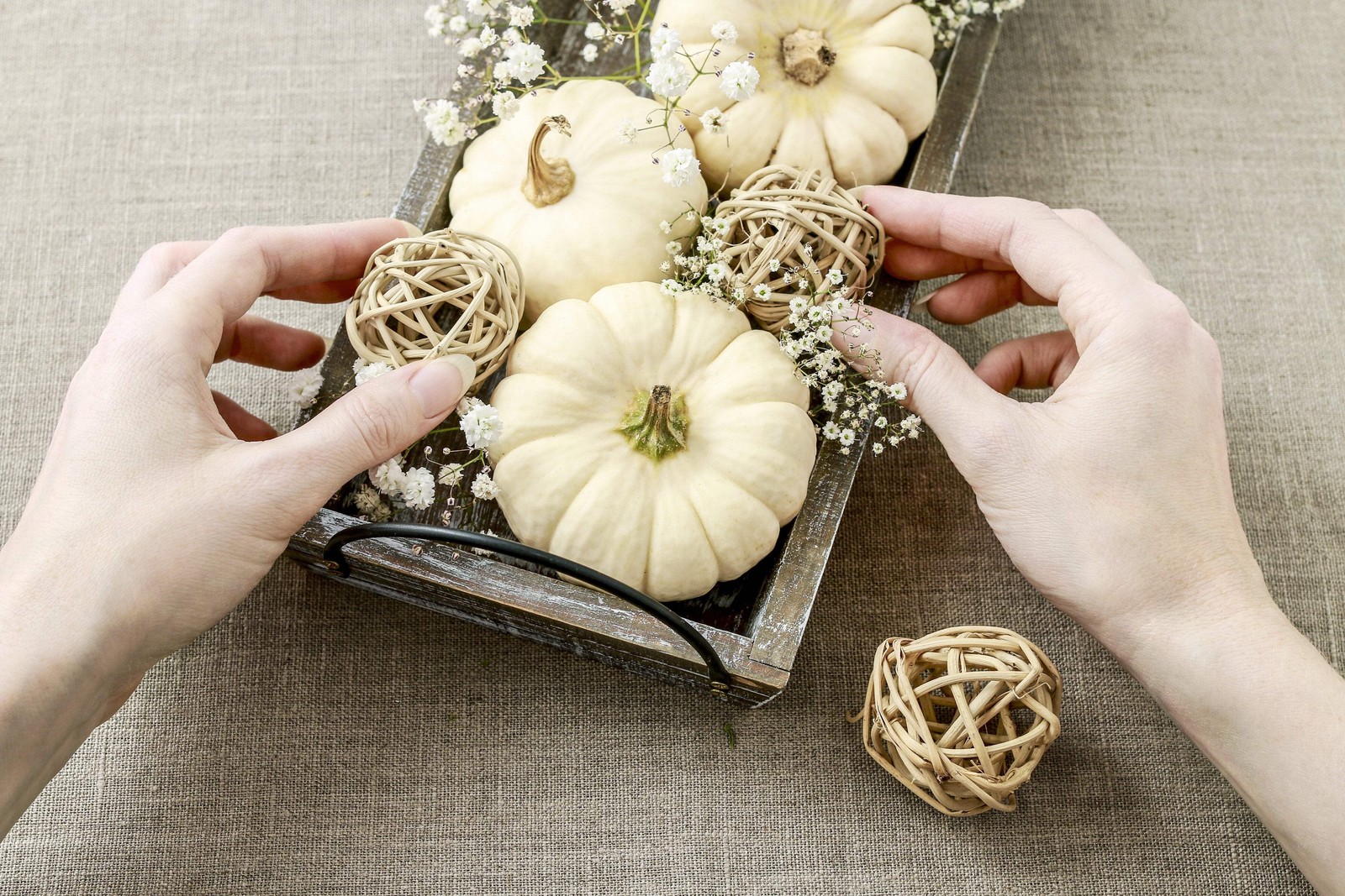 15 WHITE BABY BOO MINI PUMPKIN Miniature Cucurbita Pepo Vegetable Seeds Flat S/H