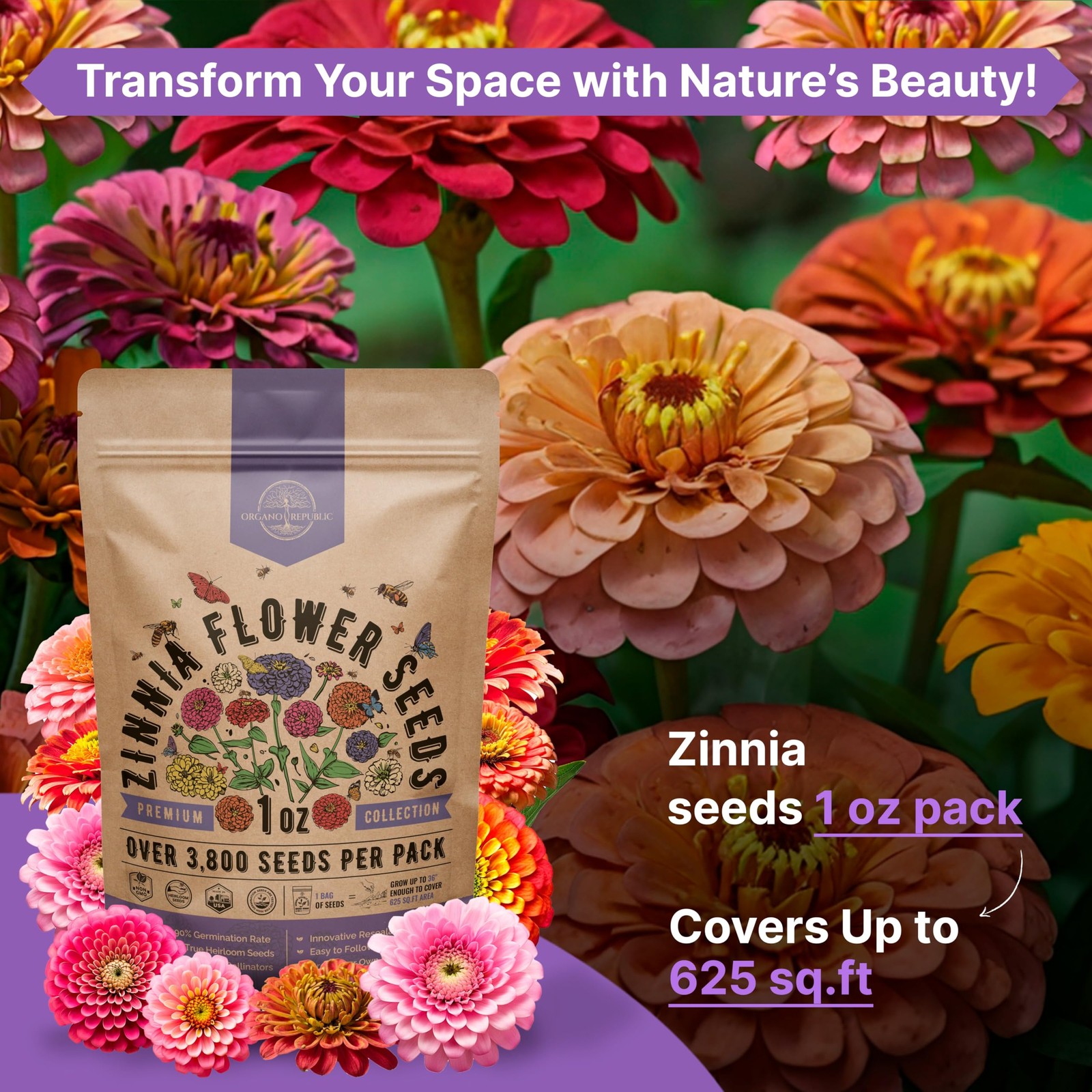 Over 3,800 — 1oz, Purple, Pink, Green, Orange Seeds