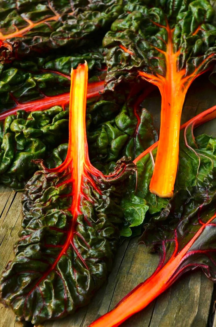 Orange Glory Swiss Chard Seeds – For 2025 Planting Bright Lights Golden Yellow