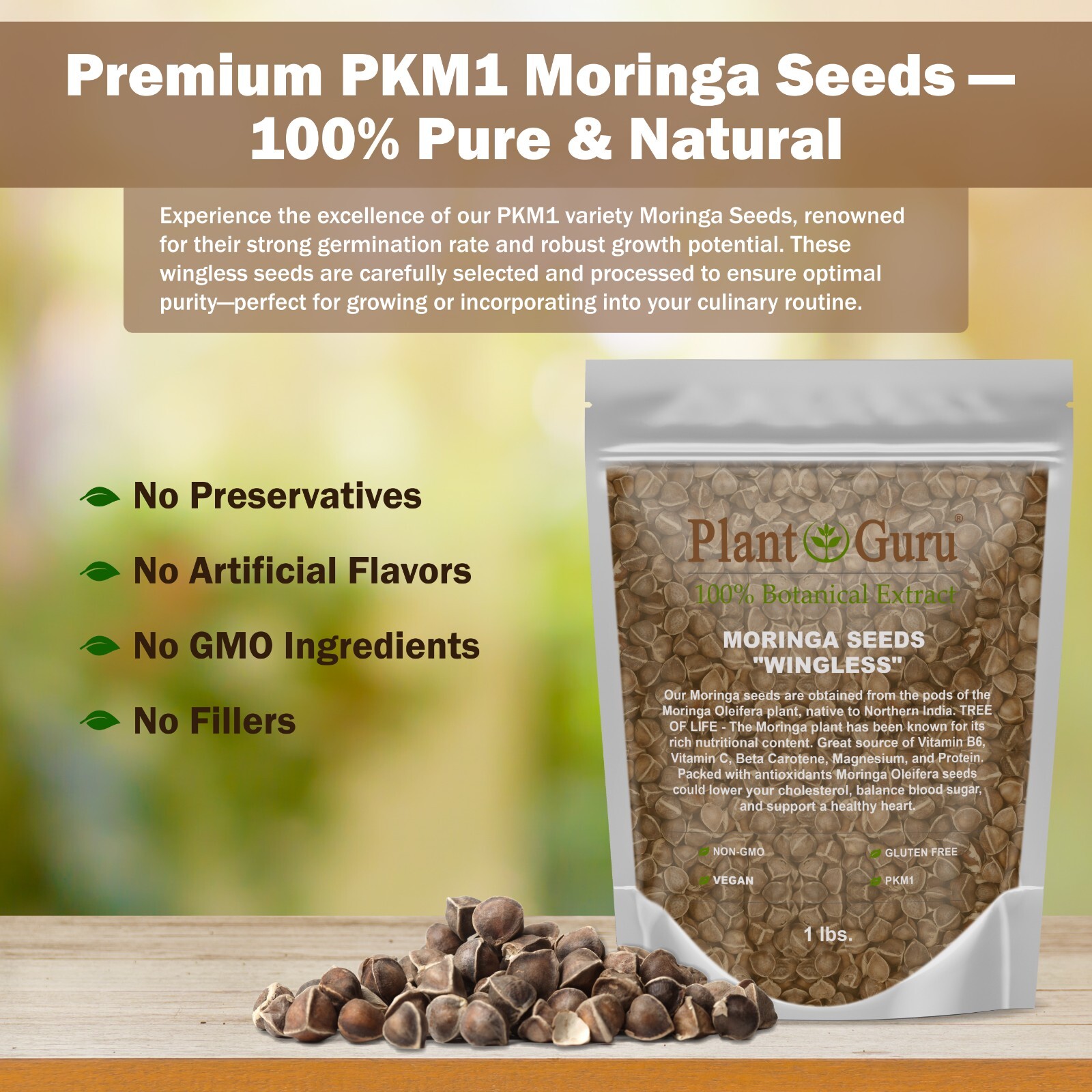 400 Moringa Oleifera Seeds 1 oz. (4 Pack) WINGLESS Fresh Semillas de Moringa