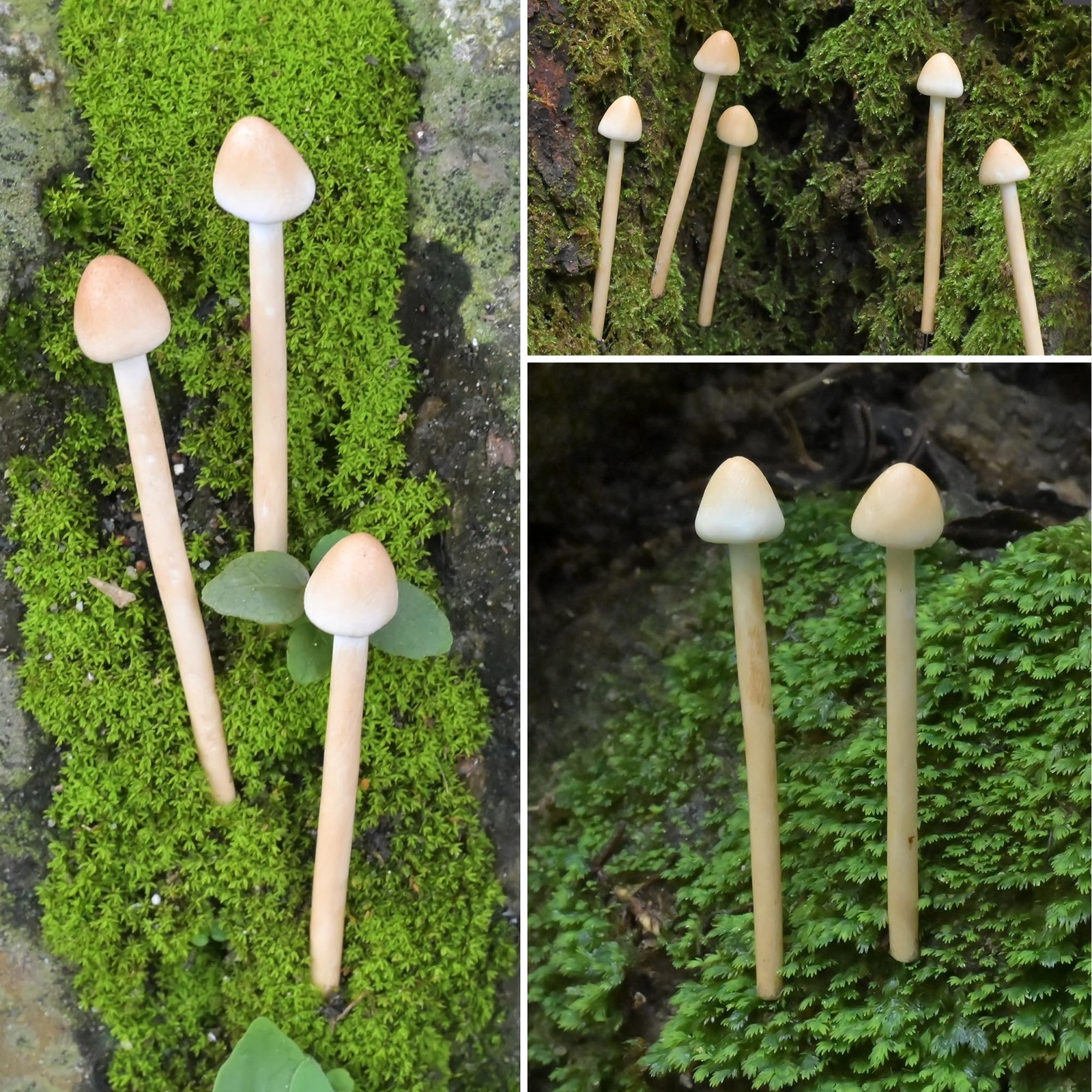 8 Pack Light Brown Handmade Clay Mushrooms Mini Fairy Garden Decor