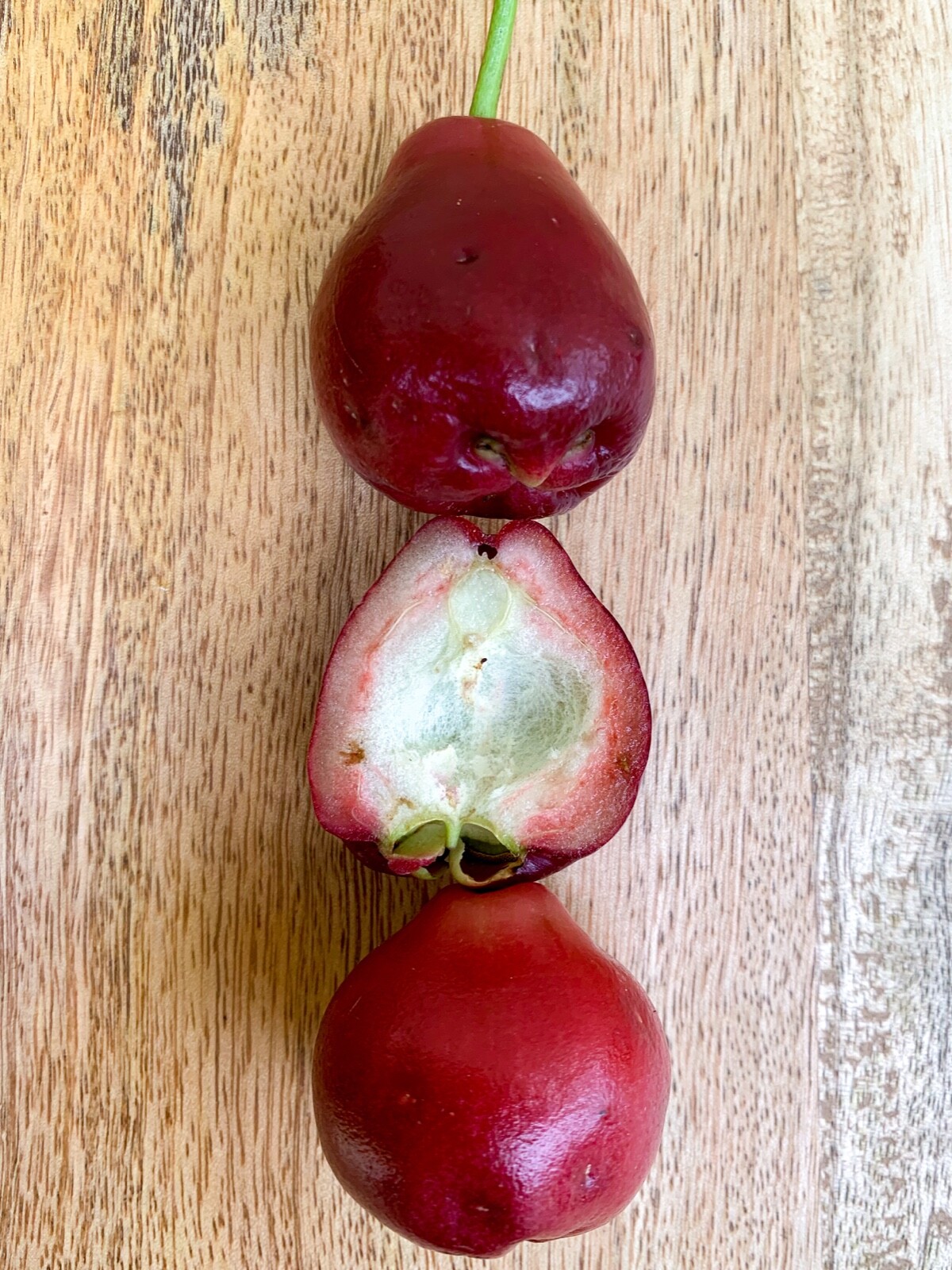 Purple Malay Apple Syzygium malaccense Fruit Tree Starter Potted Plant Very RARE